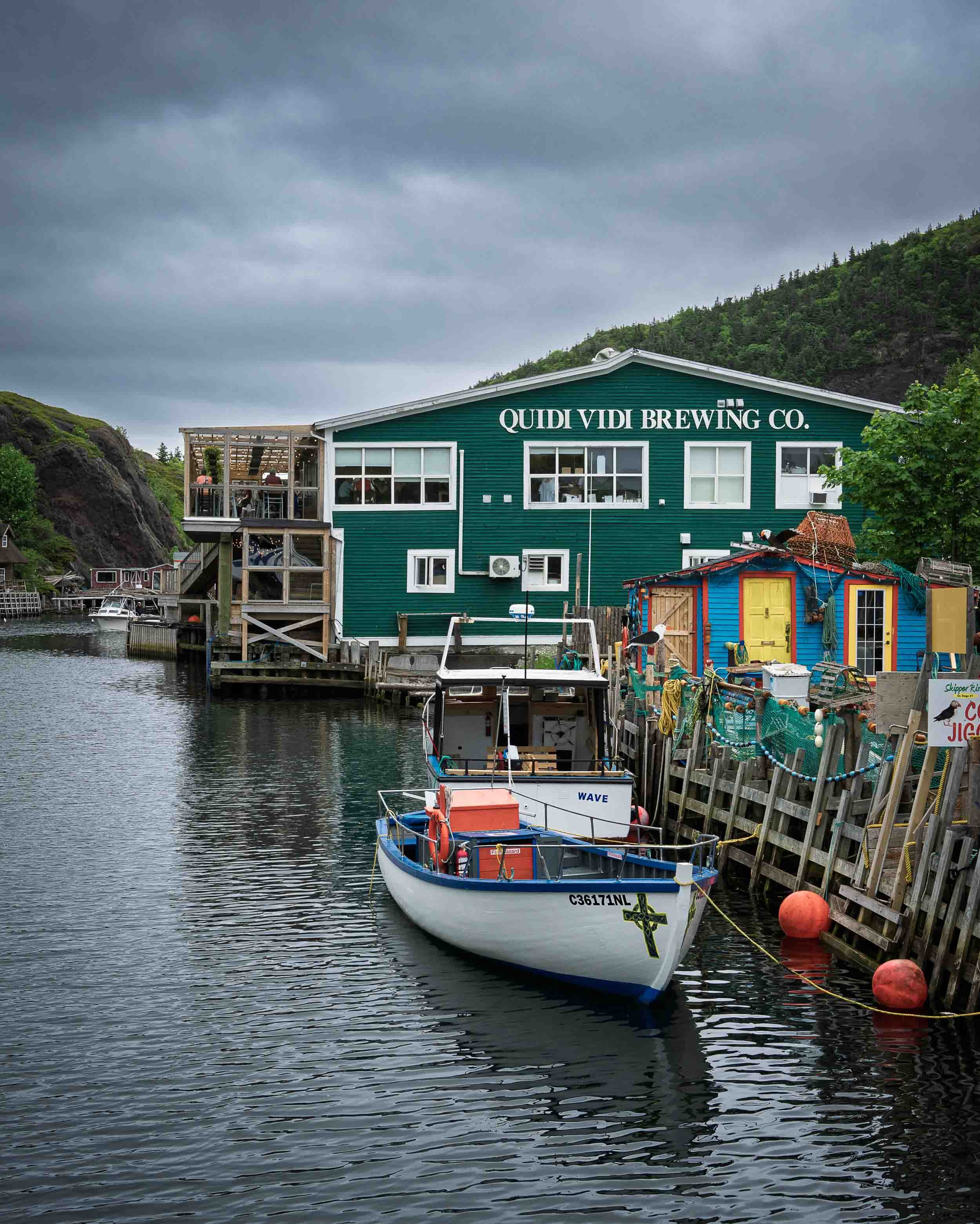 Newfoundland-7.jpg
