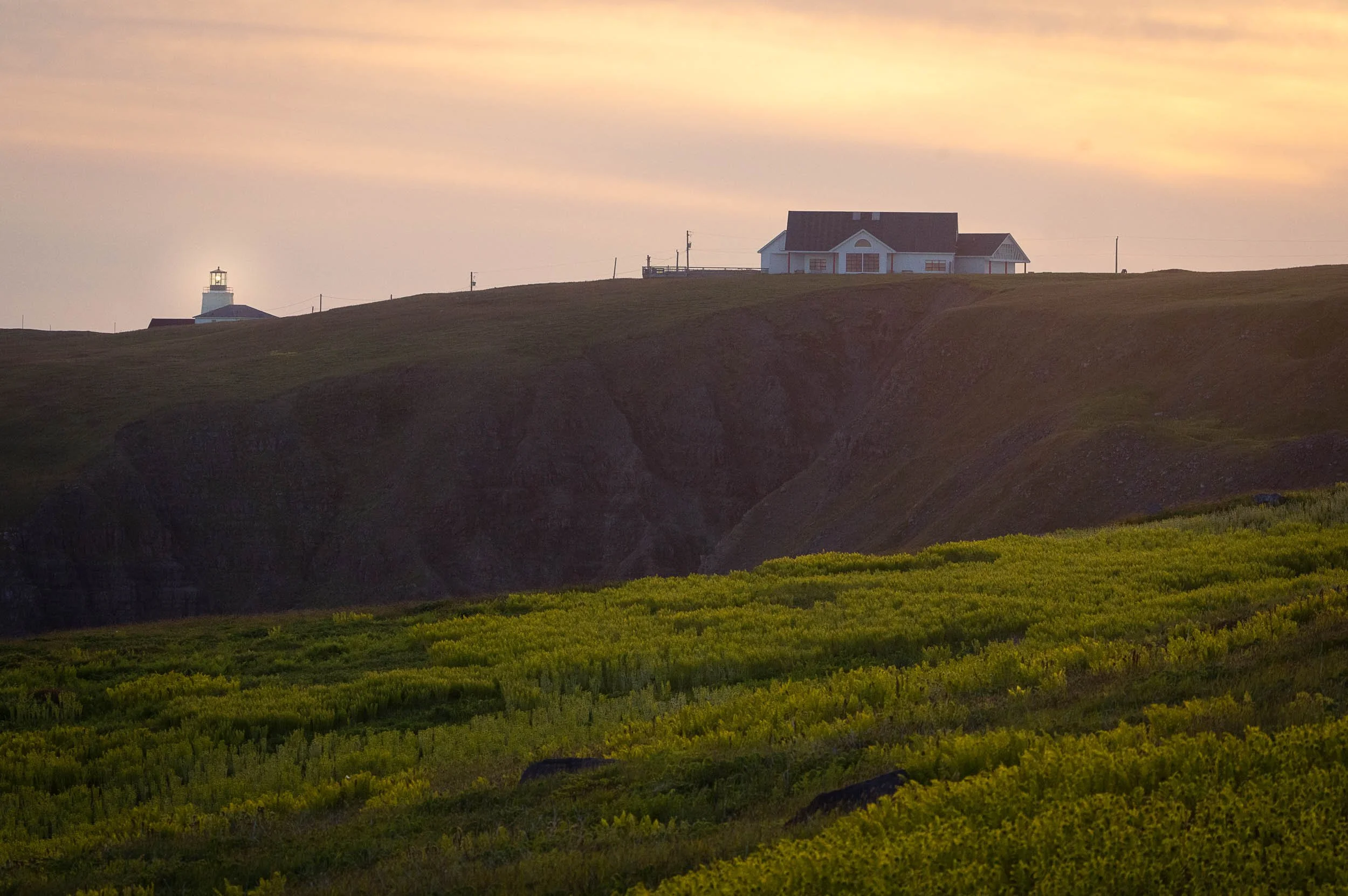 Newfoundland-55.jpg