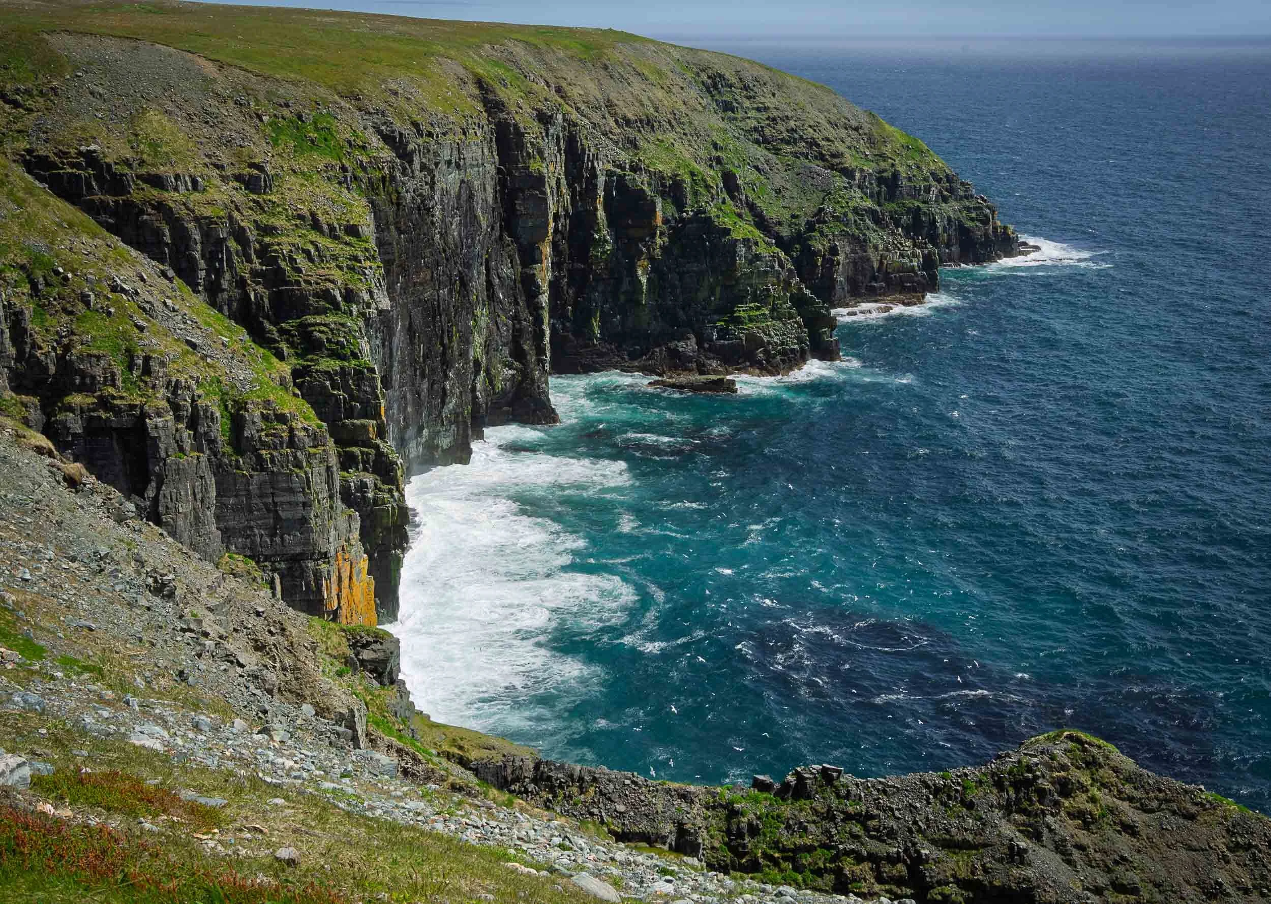Newfoundland-30.jpg