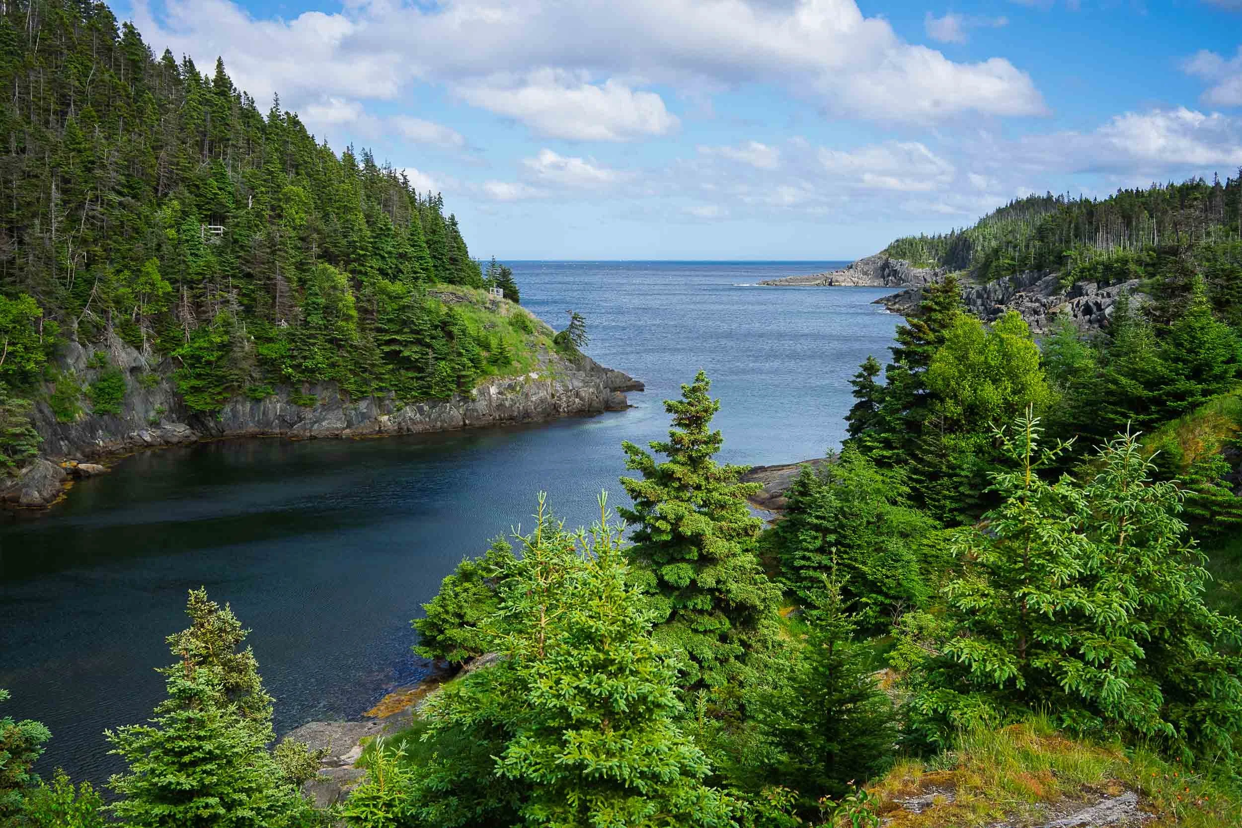 Newfoundland-20.jpg