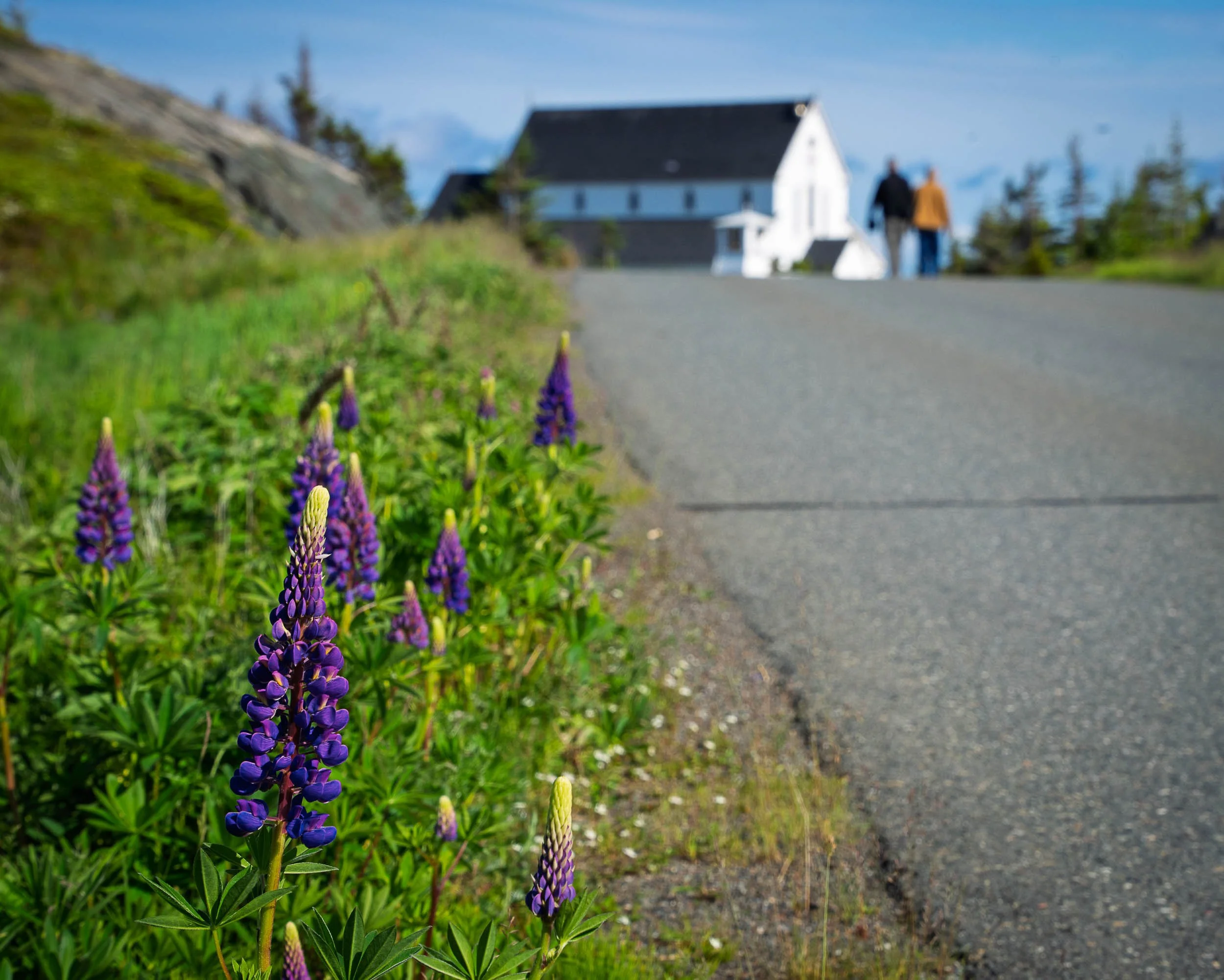 Newfoundland-106.jpg