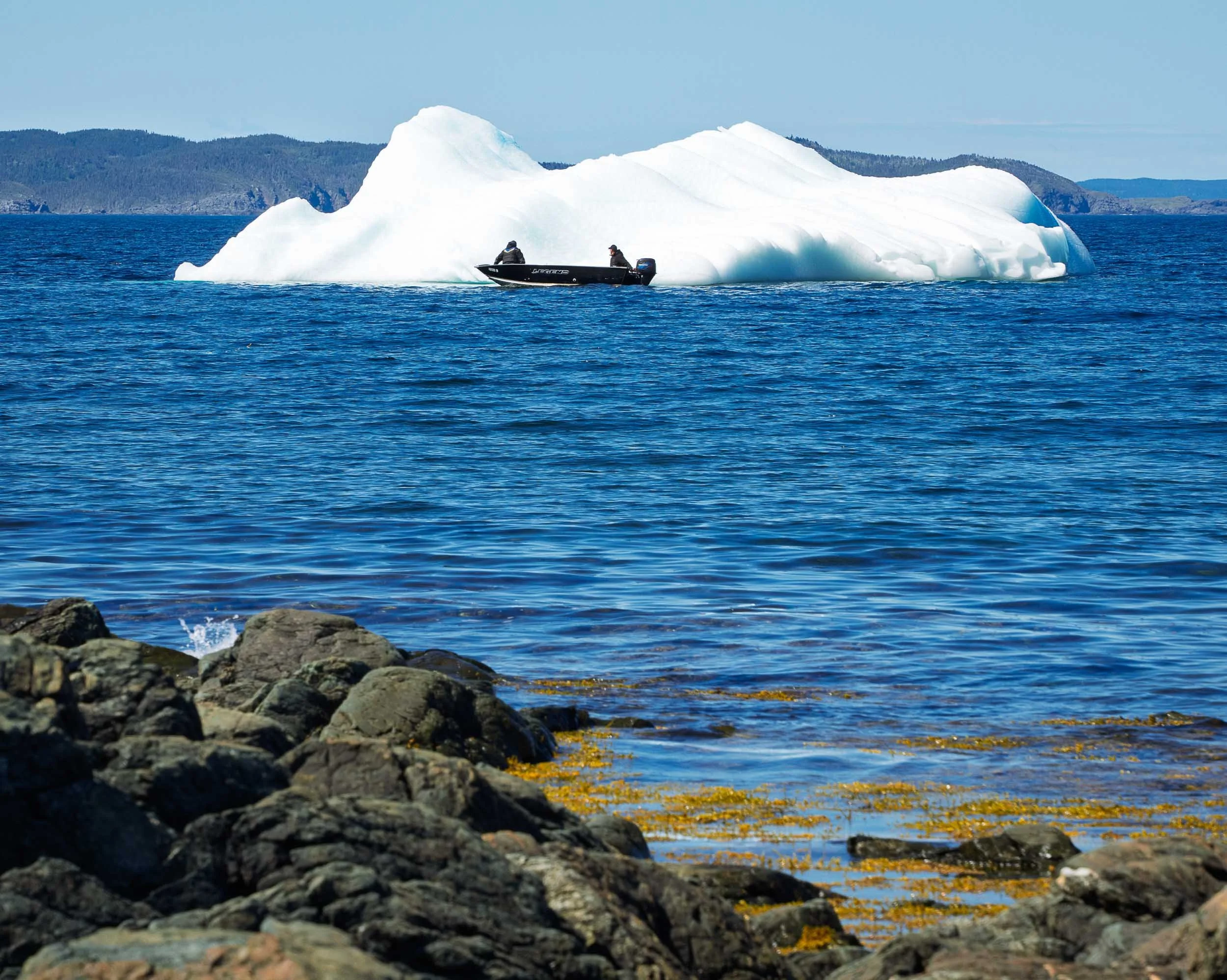 Newfoundland-110.jpg