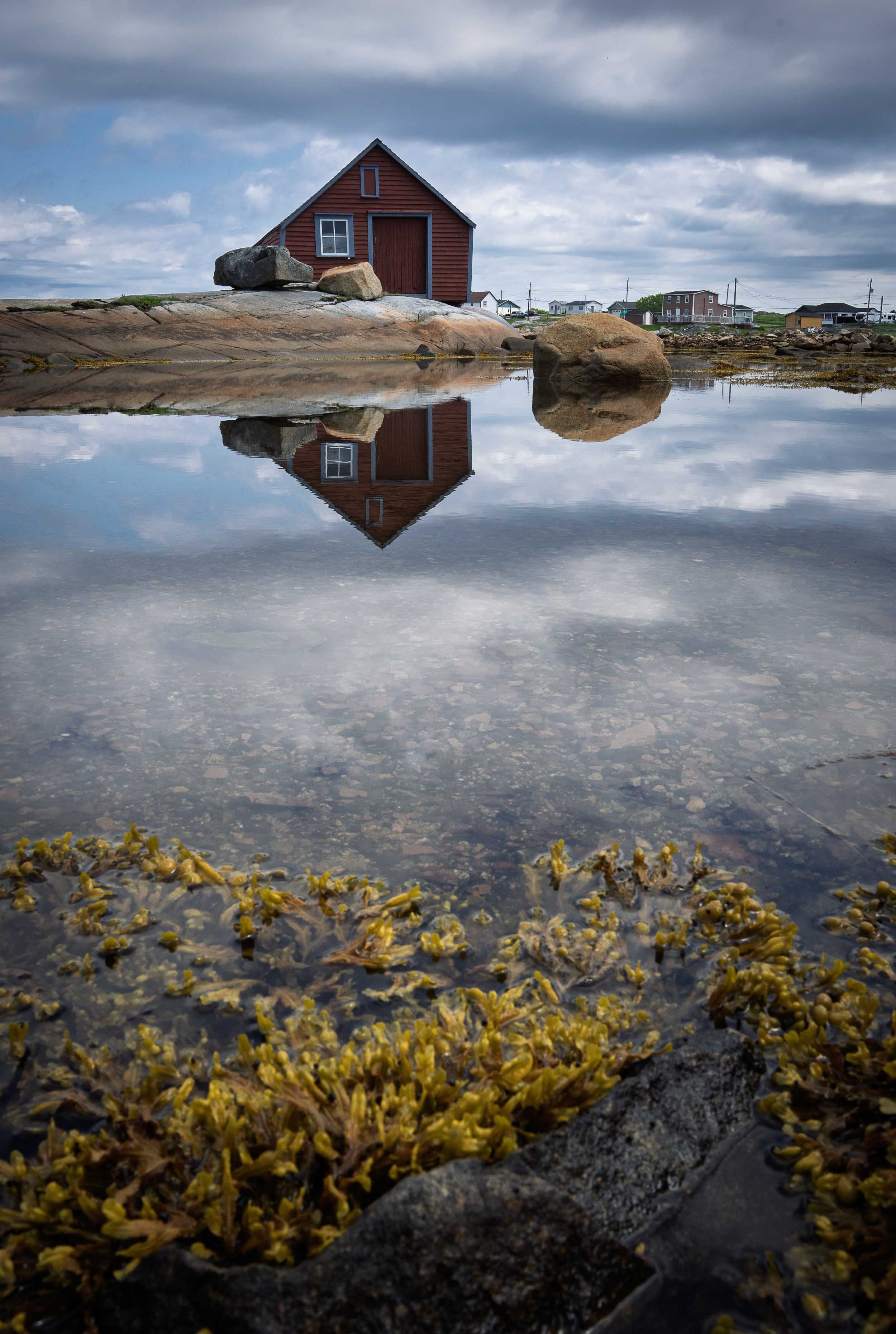 Newfoundland-81.jpg