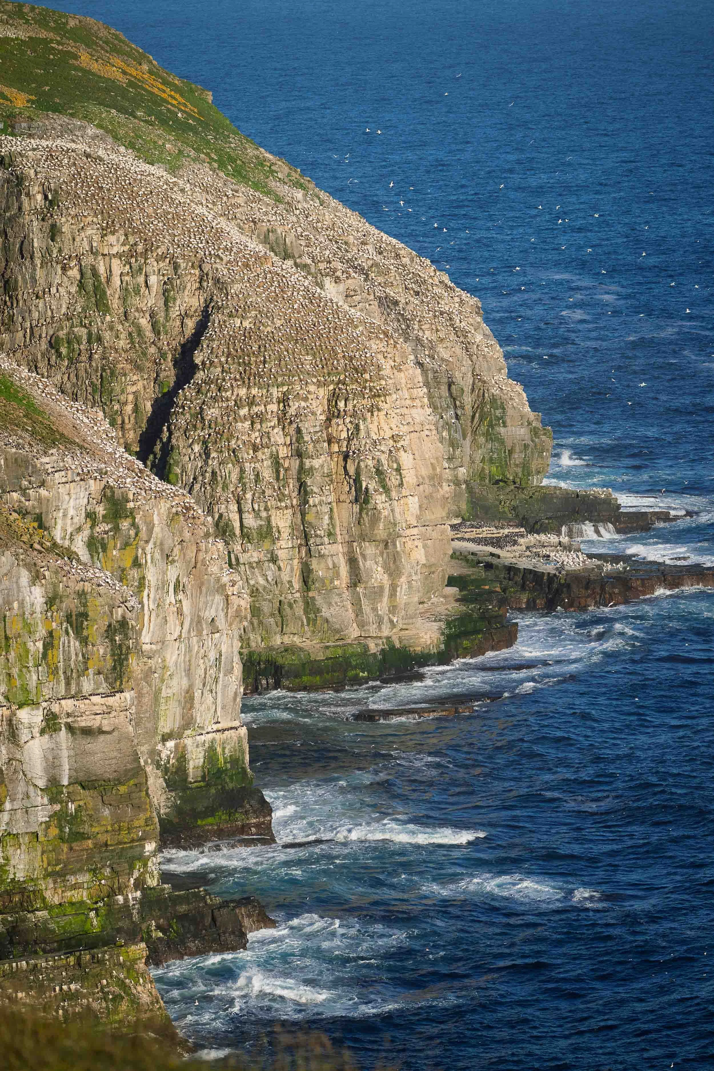 Newfoundland-42.jpg