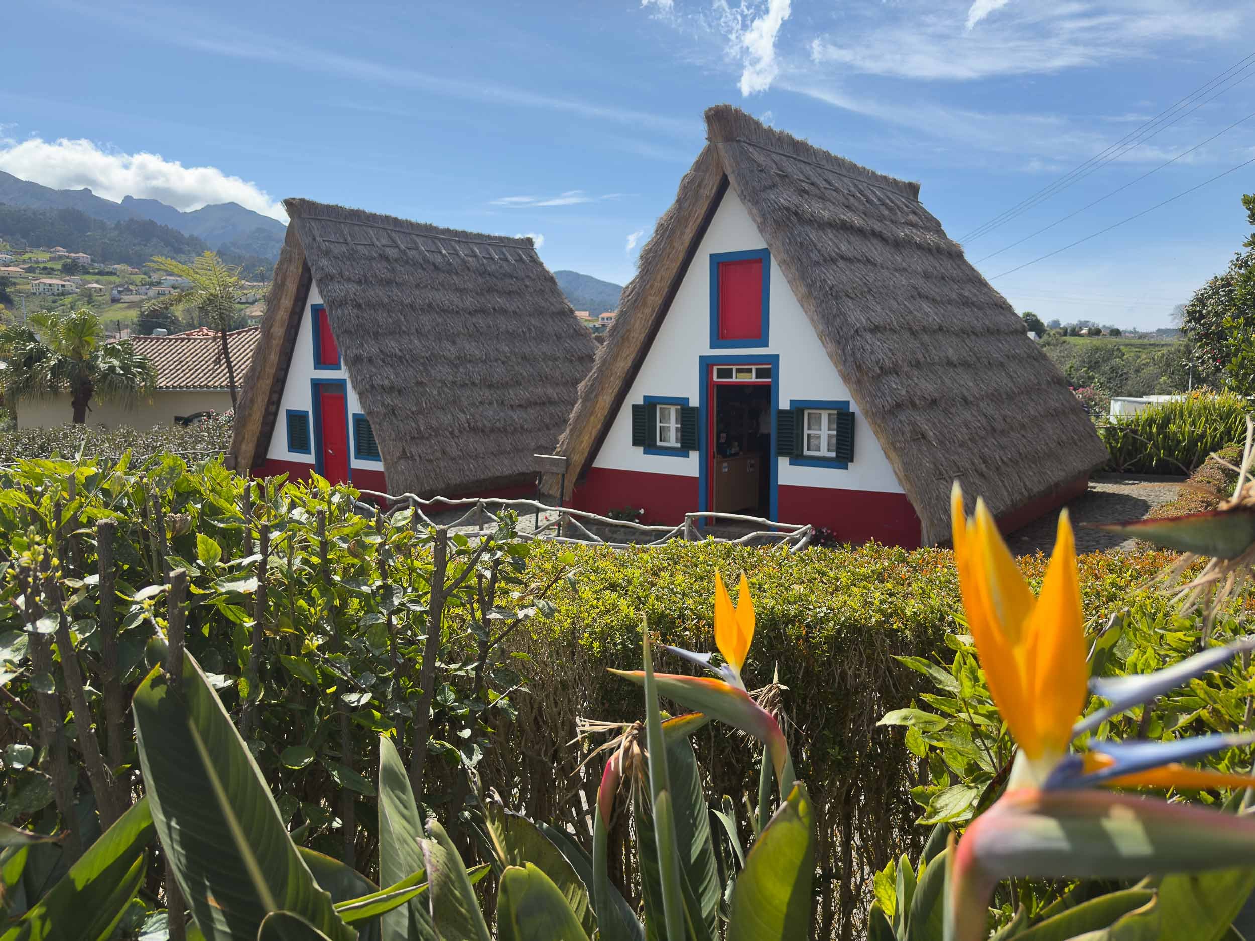 Madeira-22.jpg