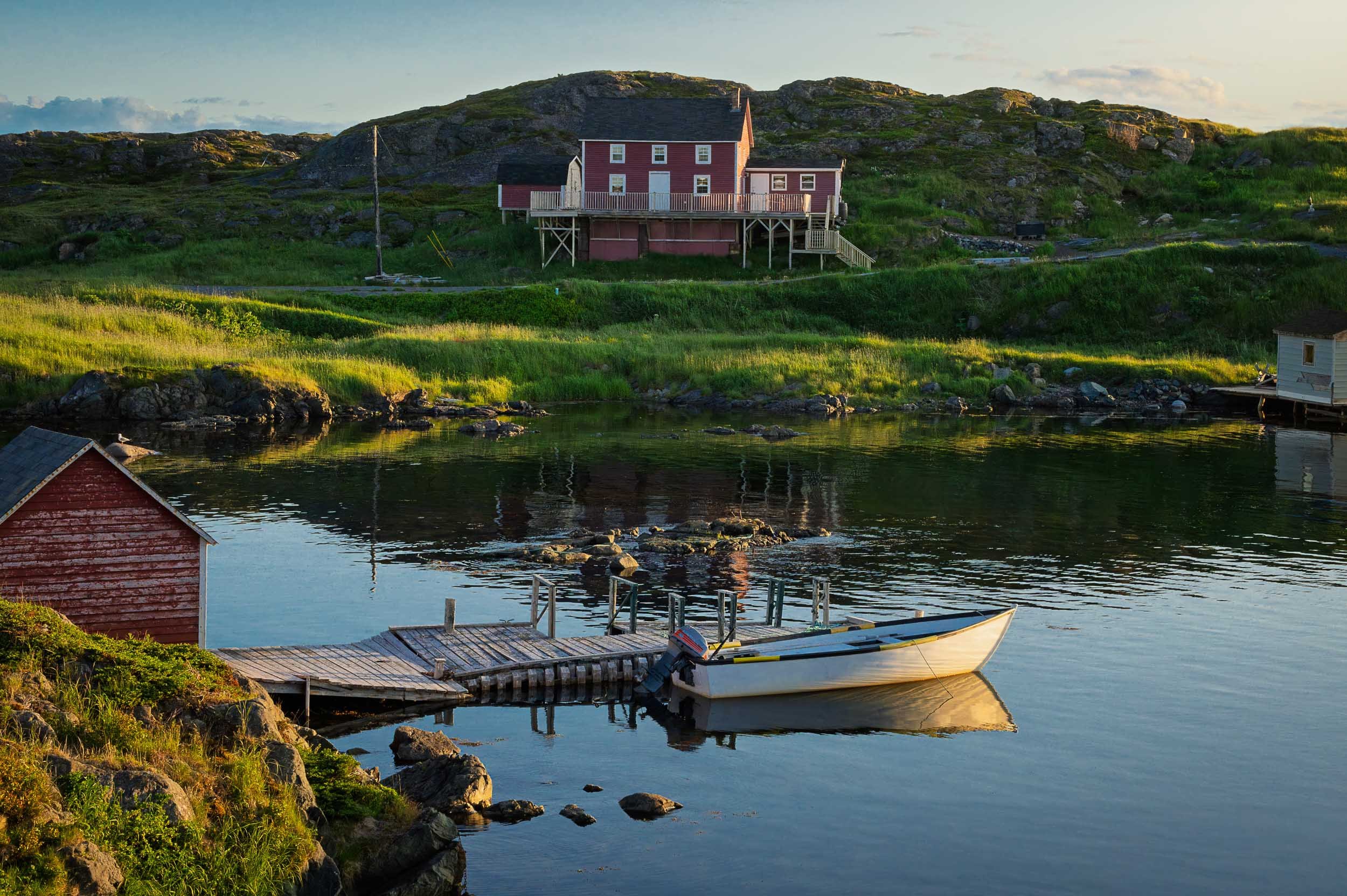 Newfoundland-98.jpg