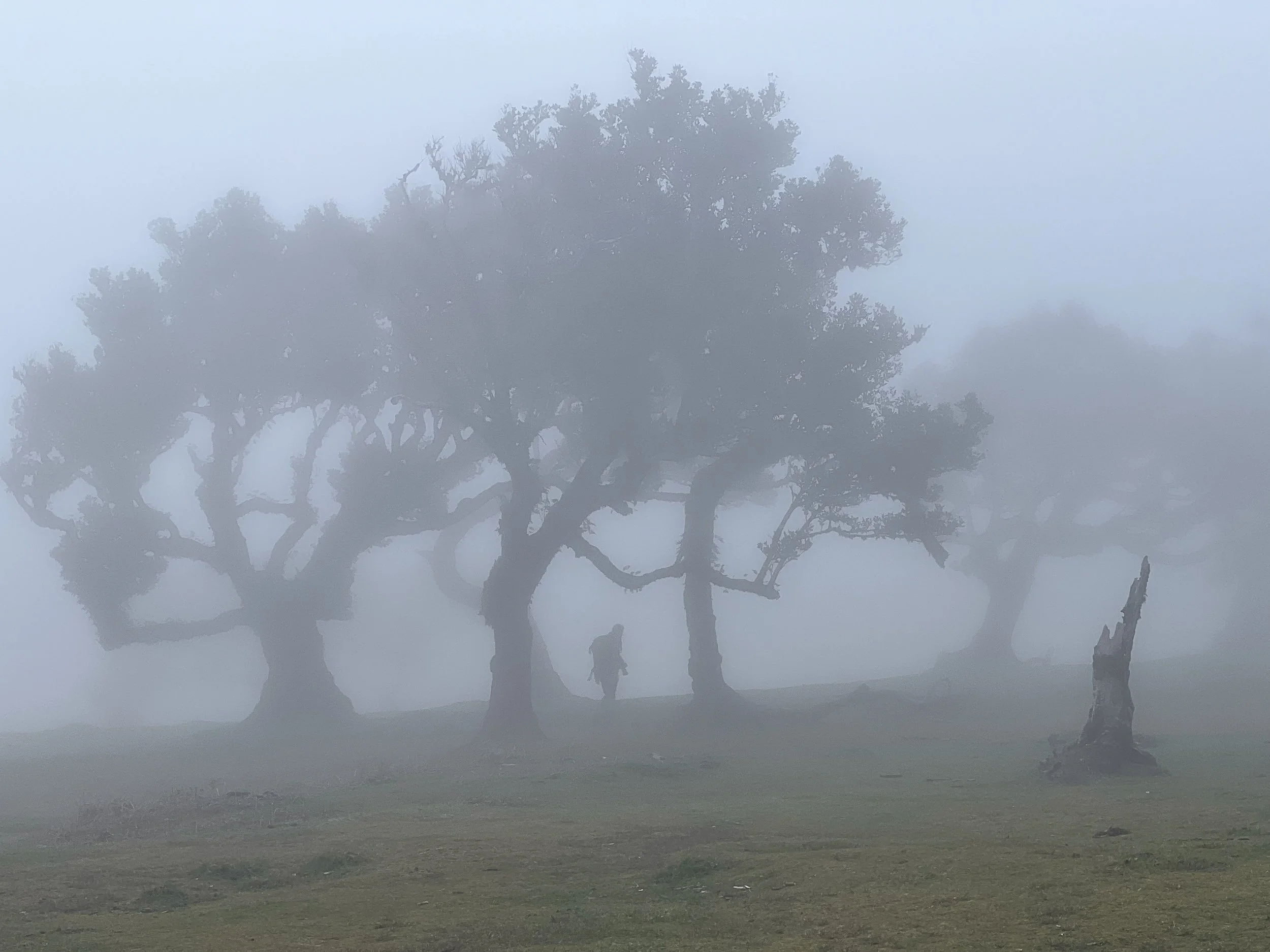 Madeira-36.jpg