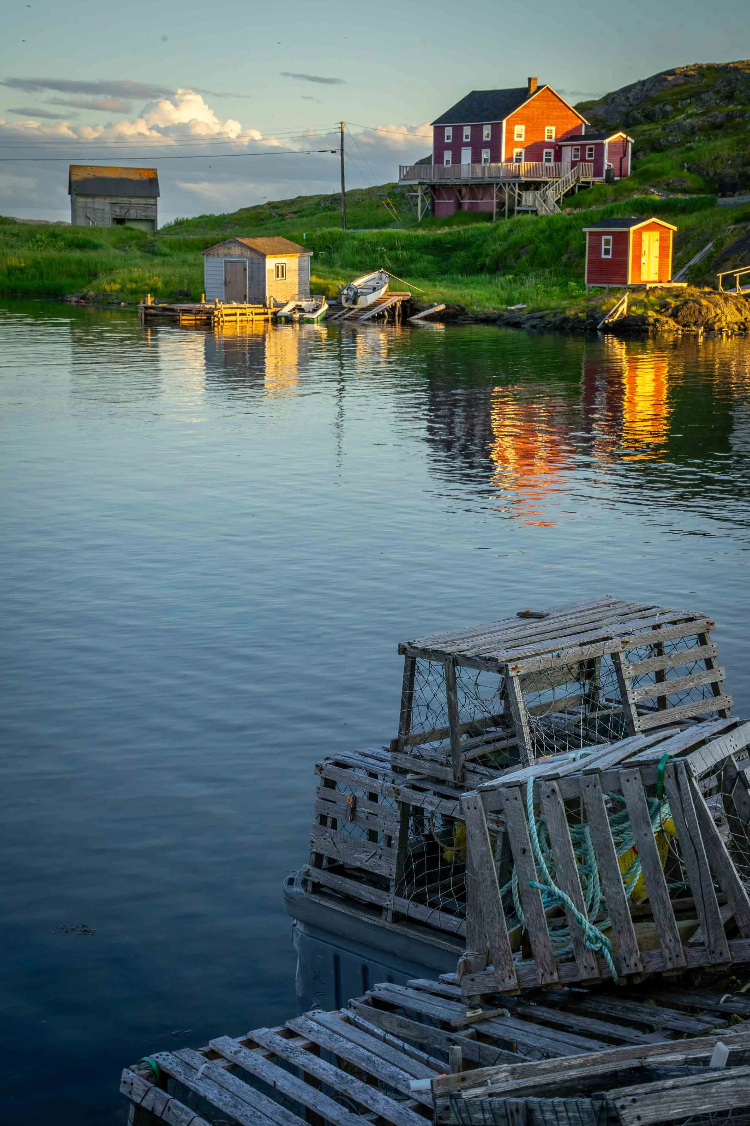 Newfoundland-101.jpg