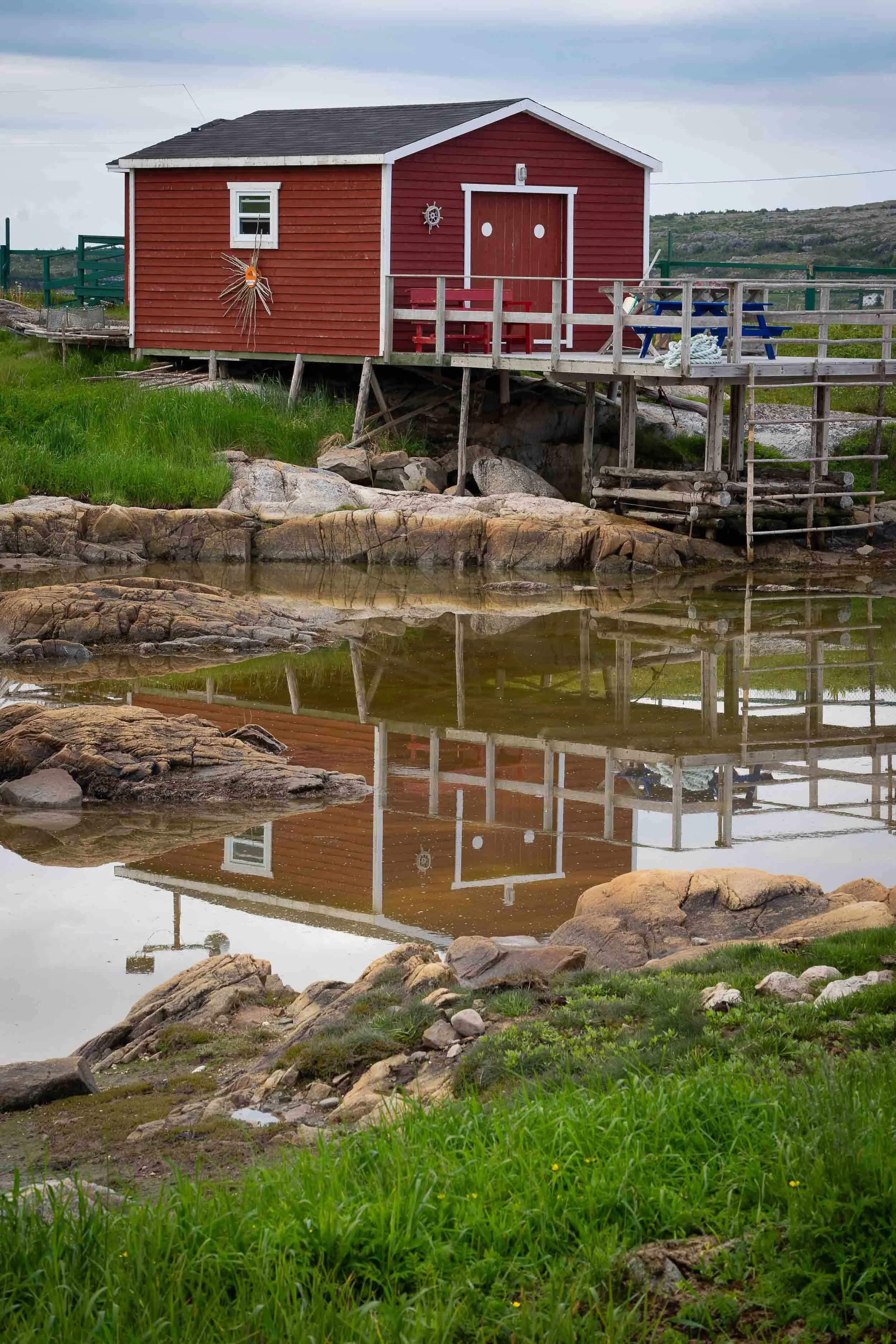 Newfoundland-79.jpg
