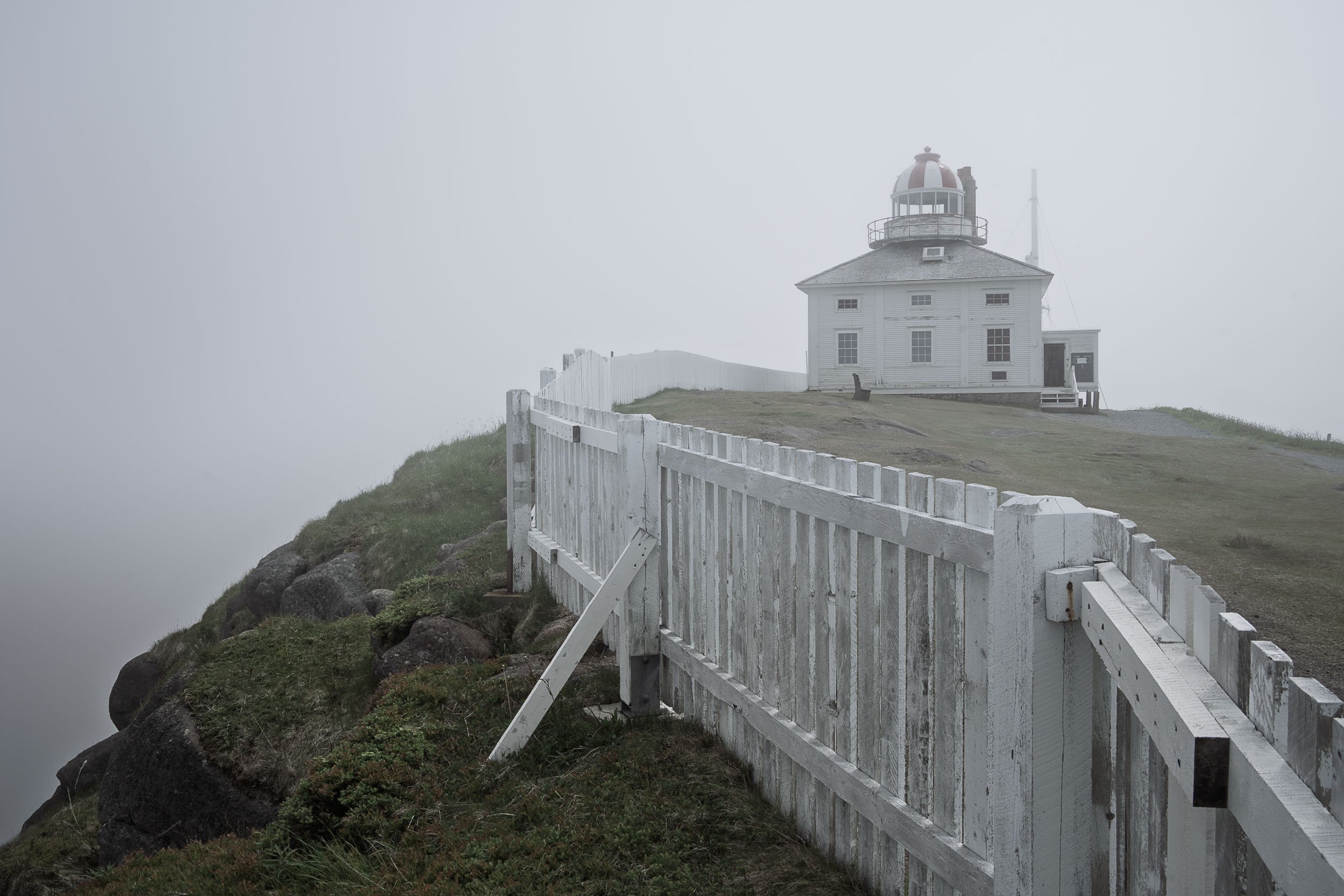 Newfoundland-9.jpg
