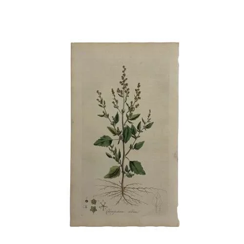 image_picker_FD9AB9D4-AB2B-4DD9-9CF6-941549B7FB6B-34228-000004BD6F84AF92.jpg