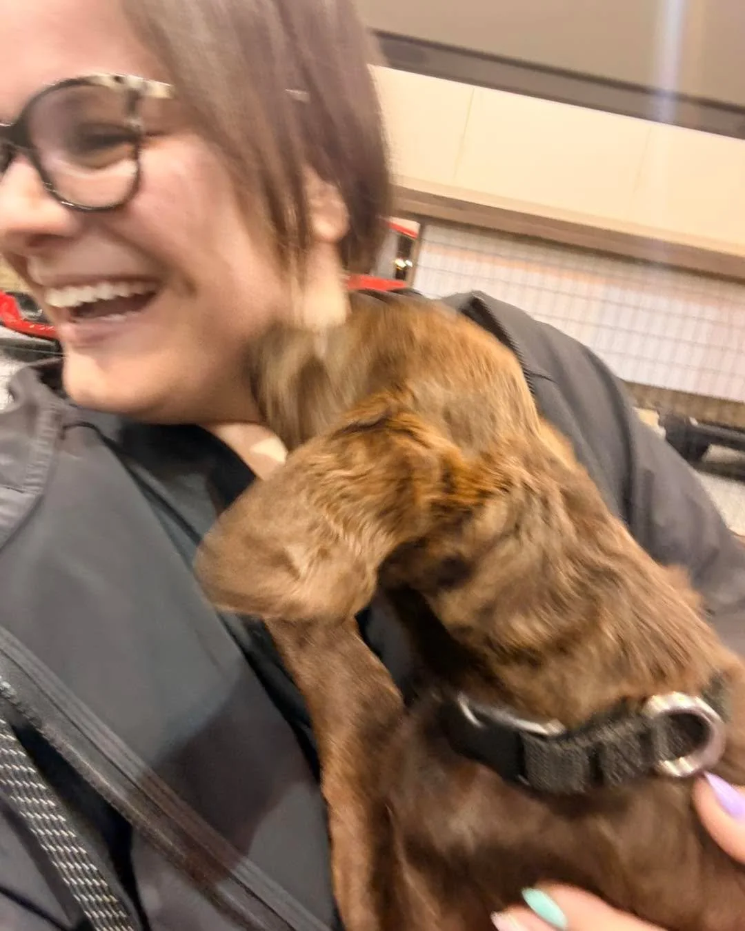 Don&rsquo;t mind the blurry photos puppy&rsquo;s move fast 🐶 

It&rsquo;s been such an amazing experience getting to help with the Midlands International Auto Show this year and handle all the digital marketing! 

It&rsquo;s also great to have peopl