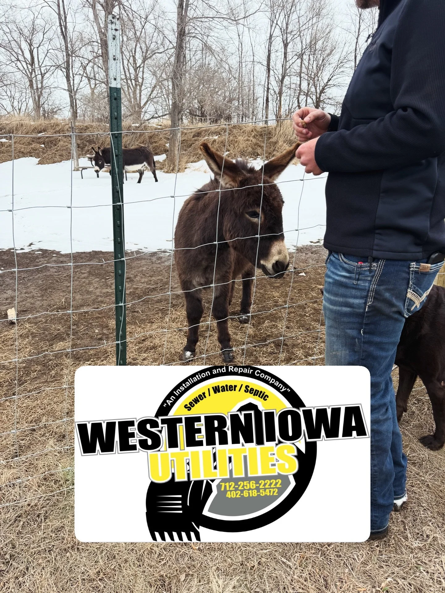 We are incredibly excited to announce we are working with Western Iowa Utilities 🎉 (Cody, Dawn, team, donkeys, and the dogs! 🐶)

Cody and his team are so passionate, thorough, and care so much about what they do and we can&rsquo;t wait to help cont