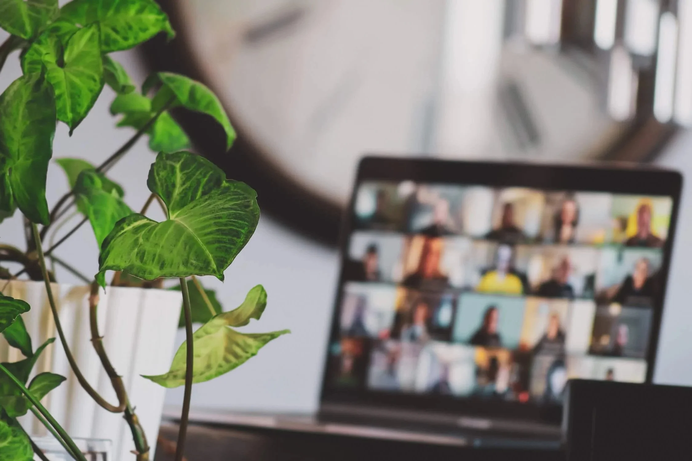 Video conference