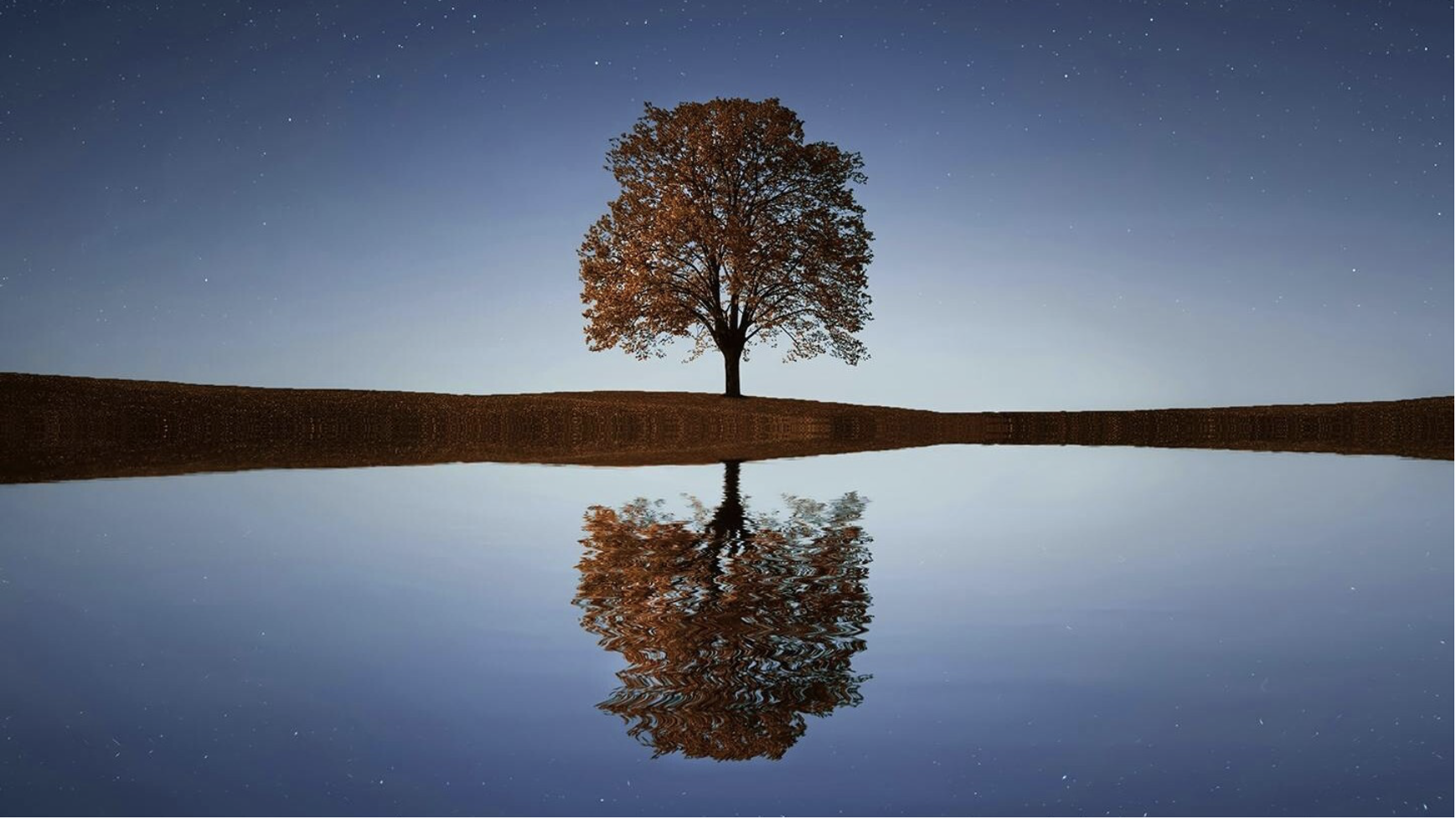 Chiltern Arts Festival - Natural Reflection