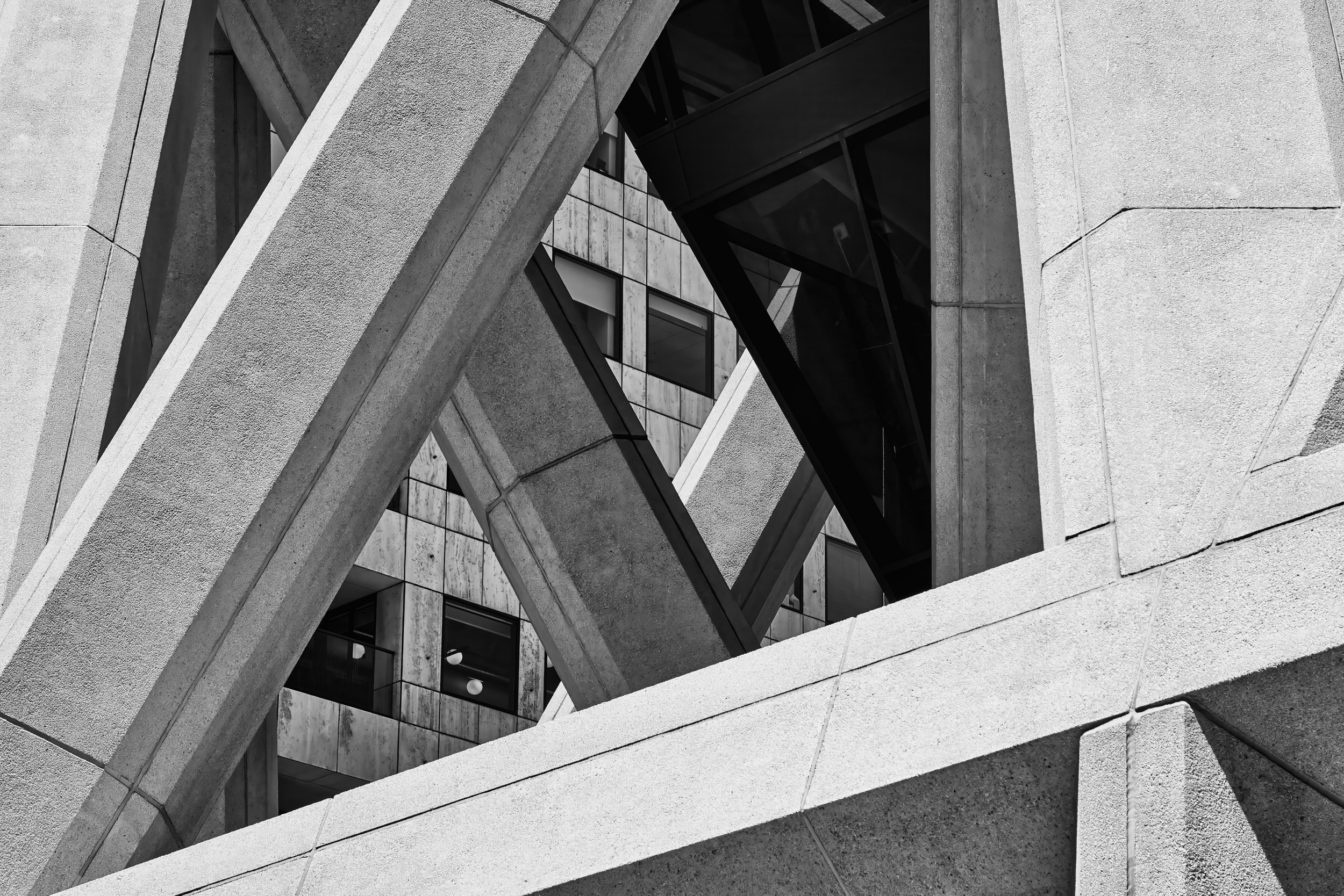 SF Transamerica Building (2018)_4747