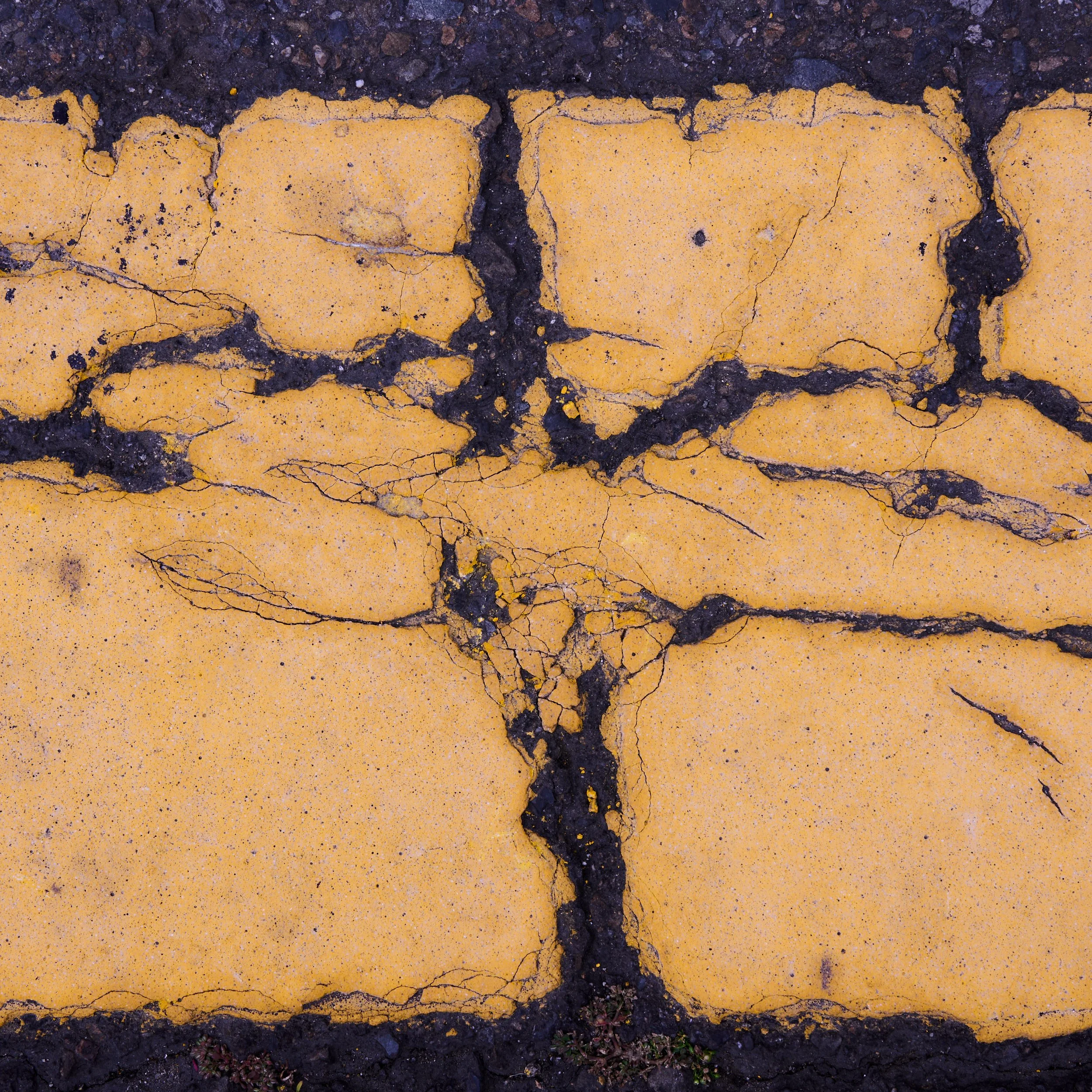 Crosswalk Paint Study (2023)_5549