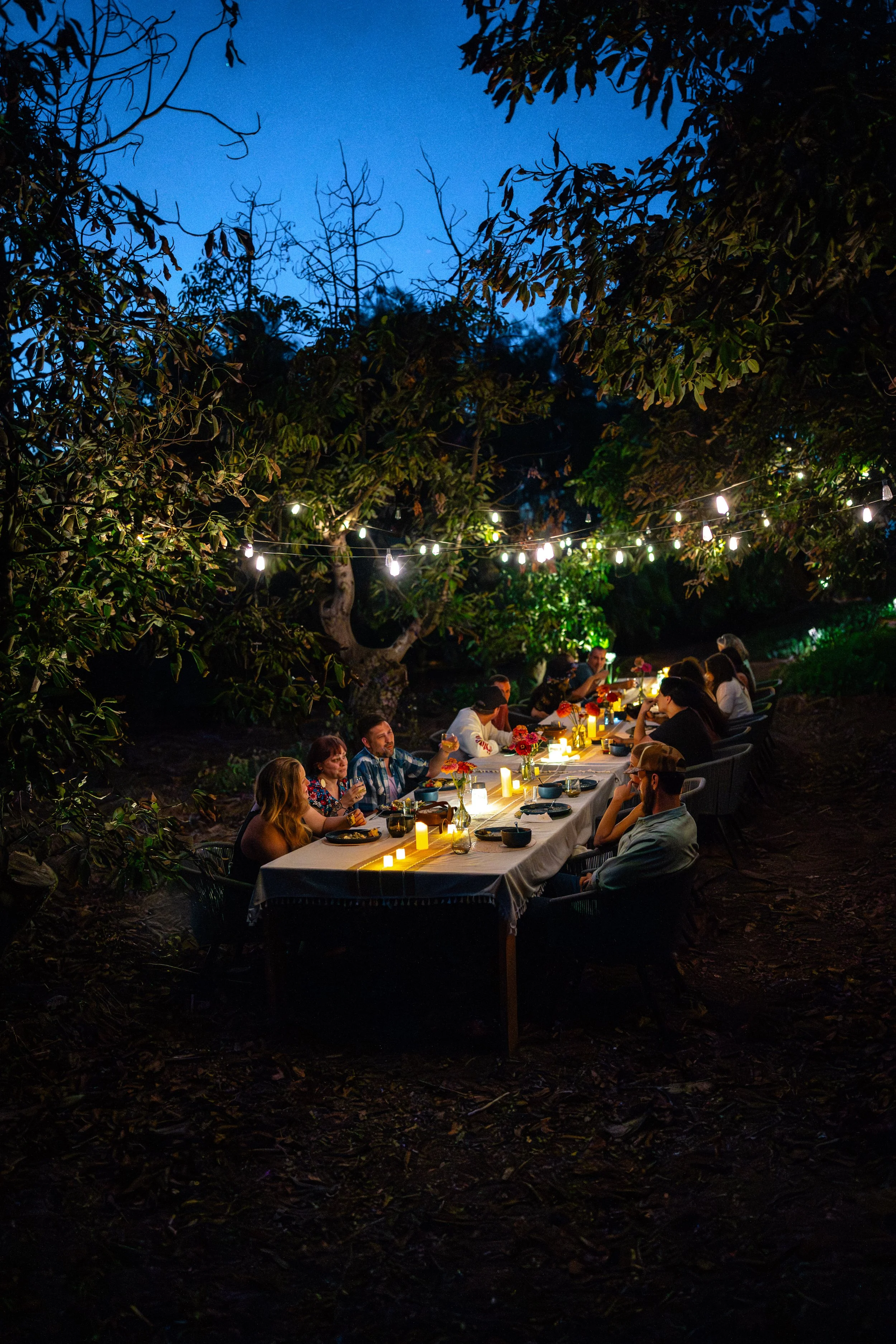 group having farm-to-table dinner in the orchard