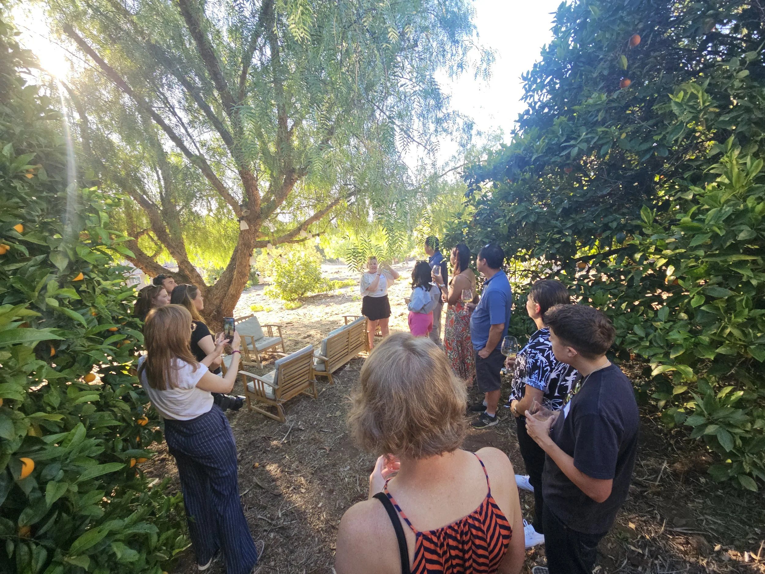group in the orchard