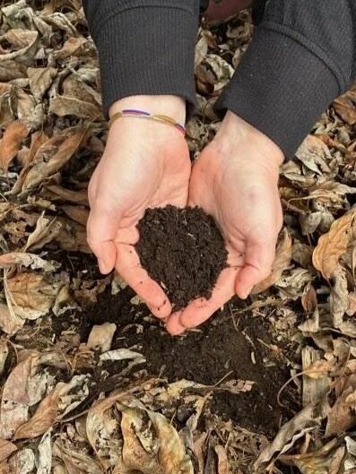 handful of rich black soil