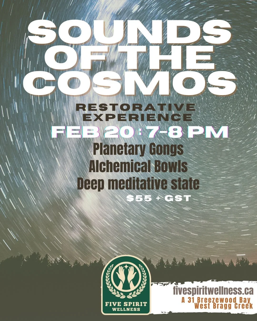 SOUNDS OF THE COSMOS