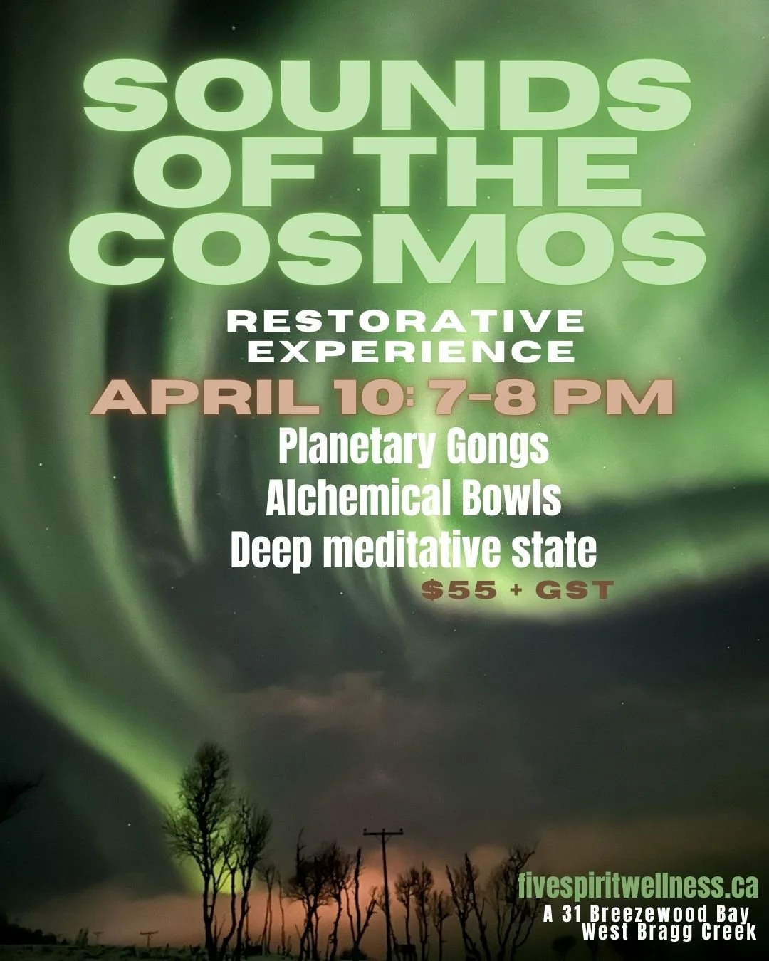 SOUNDS OF THE COSMOS