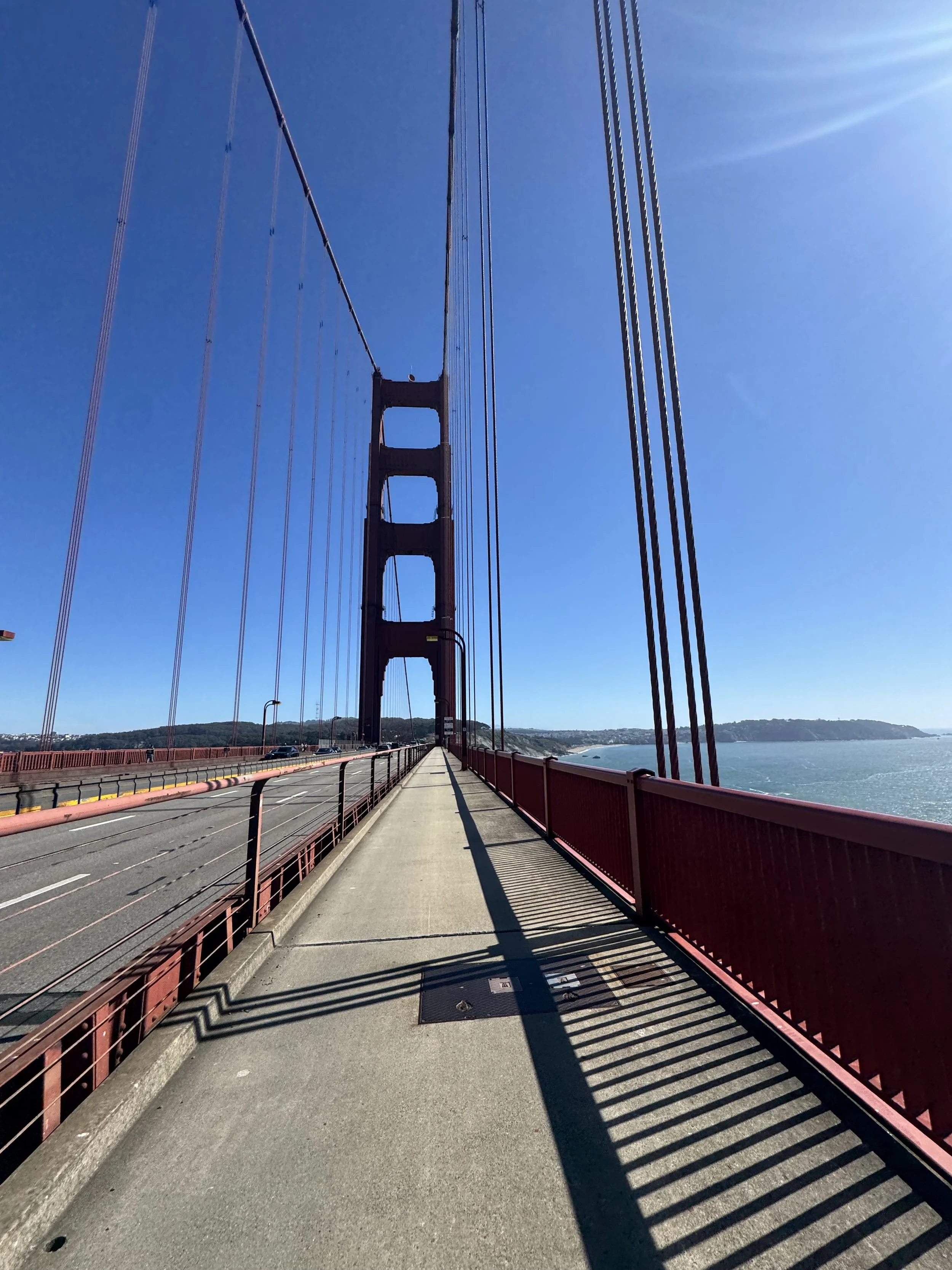 IMG_8354.jpeg