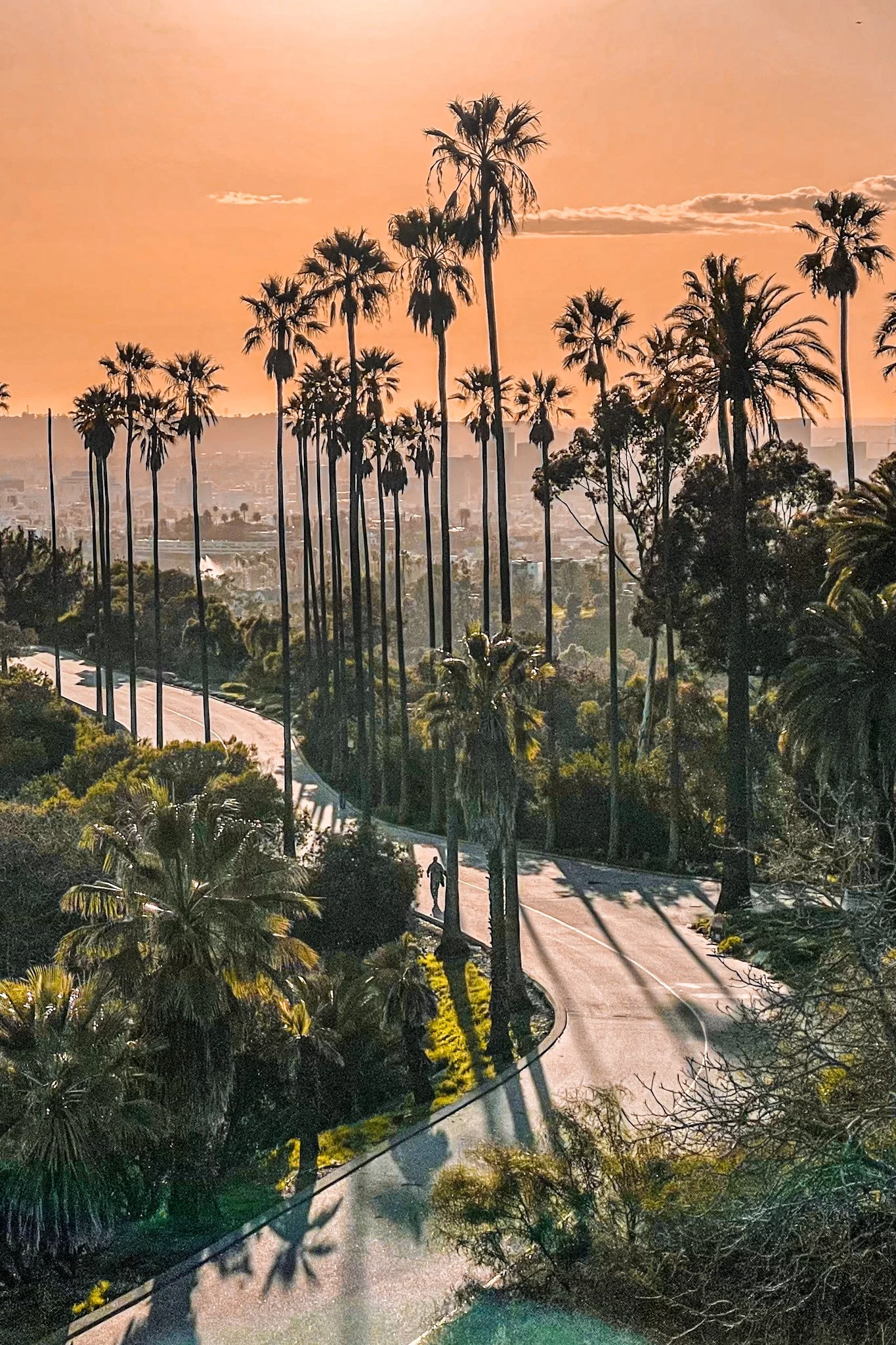 la la land