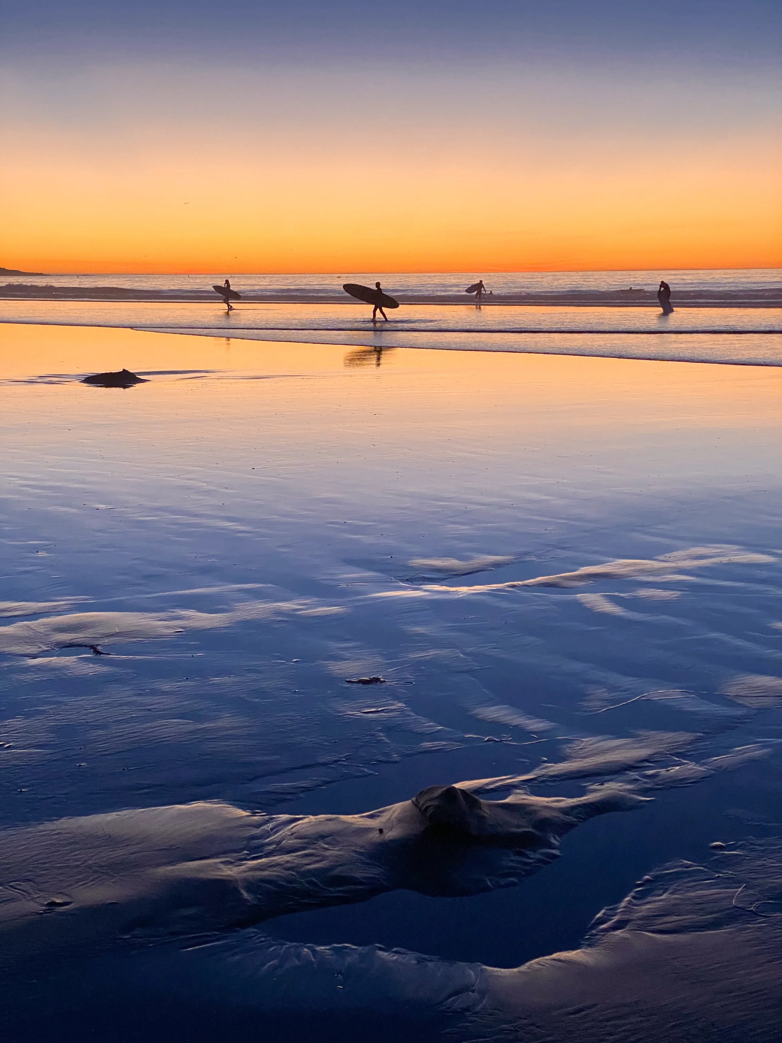surf city