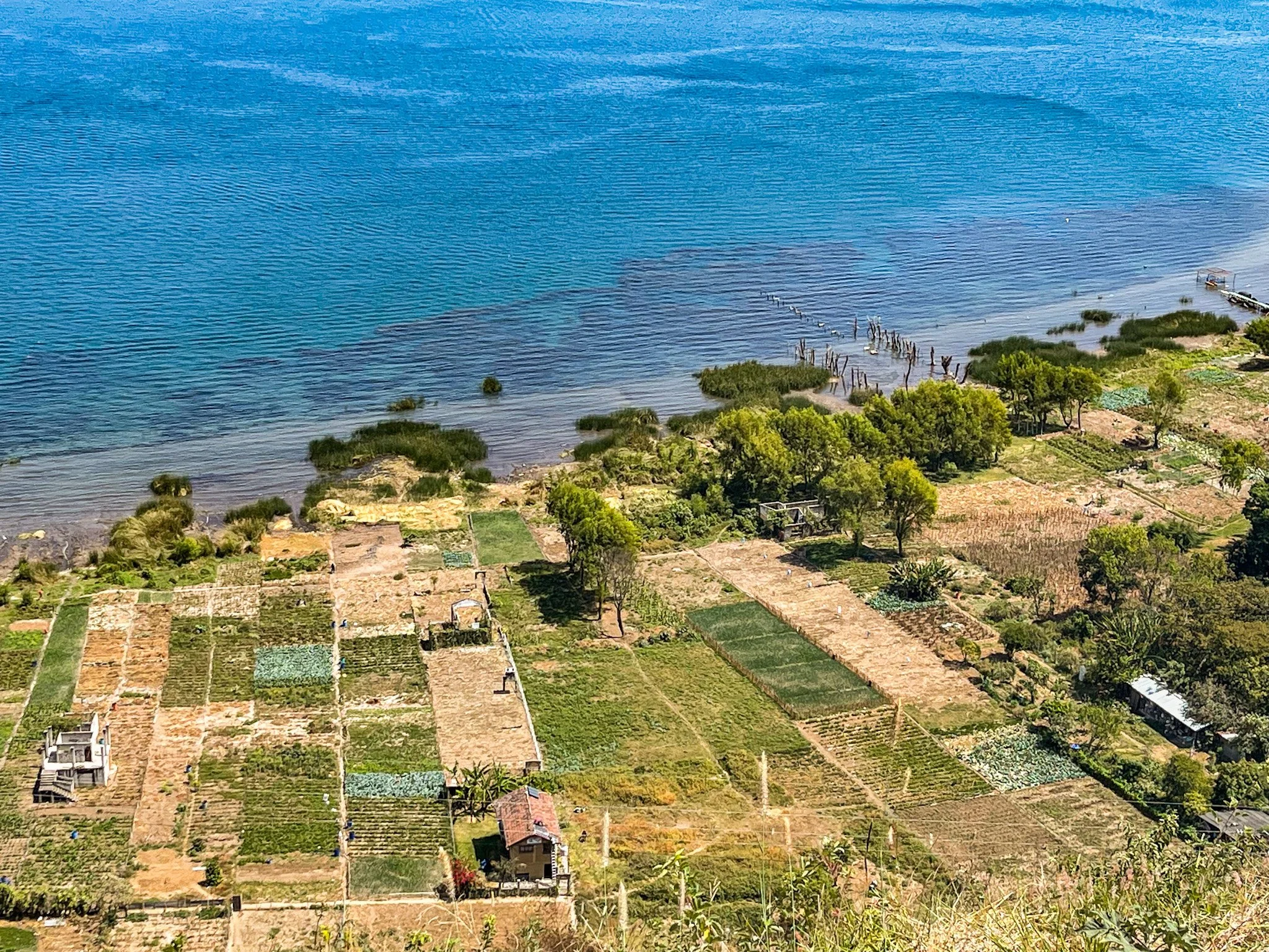 lake to farm