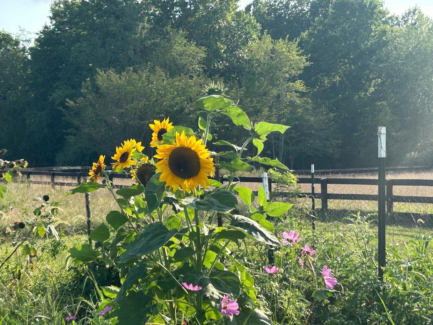 It&rsquo;s baffling that we&rsquo;ve made it to August. This summer has been an important summer for VCF. With the launching of social media, doing market research, scheduling lots and lots of meetings, starting a podcast, building a website and much
