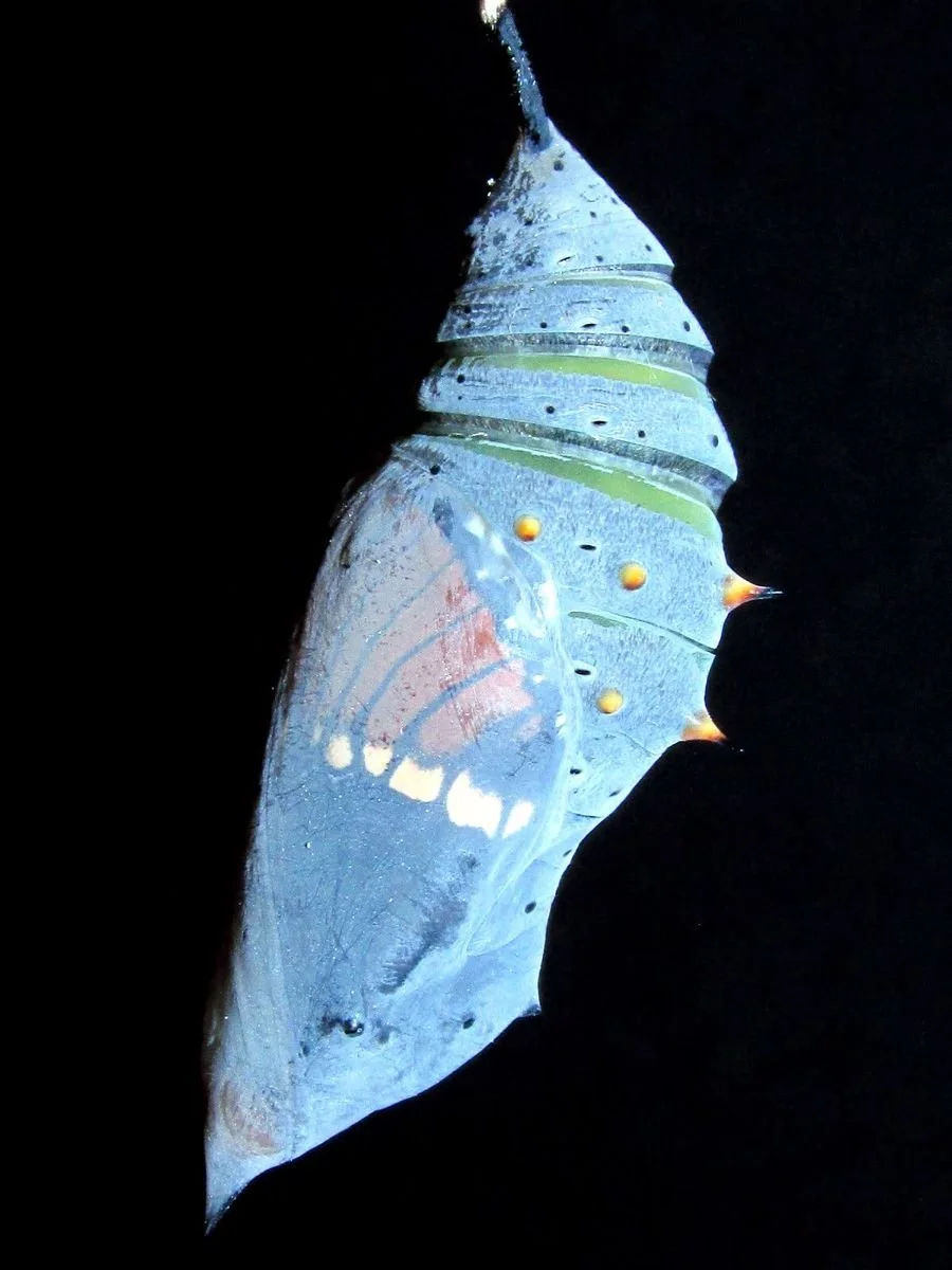 The World is Ending Again and the Kids Will Be Alright