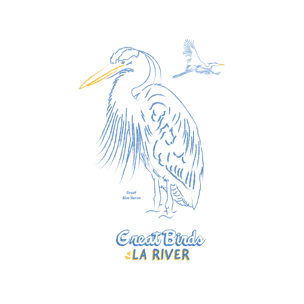 gbla-heron-mock-sq.png