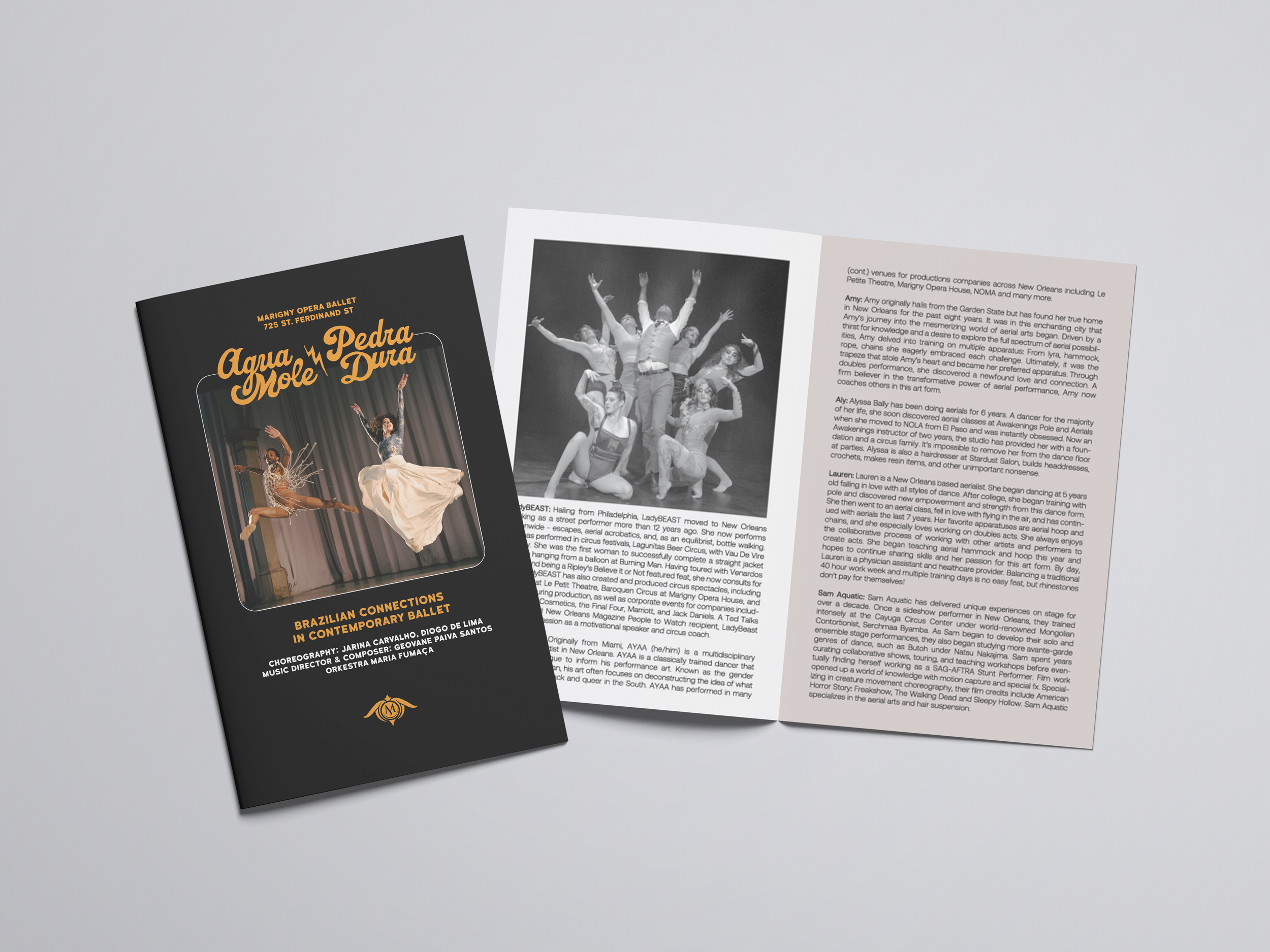 AGUAMOLE_PLAYBILL.png