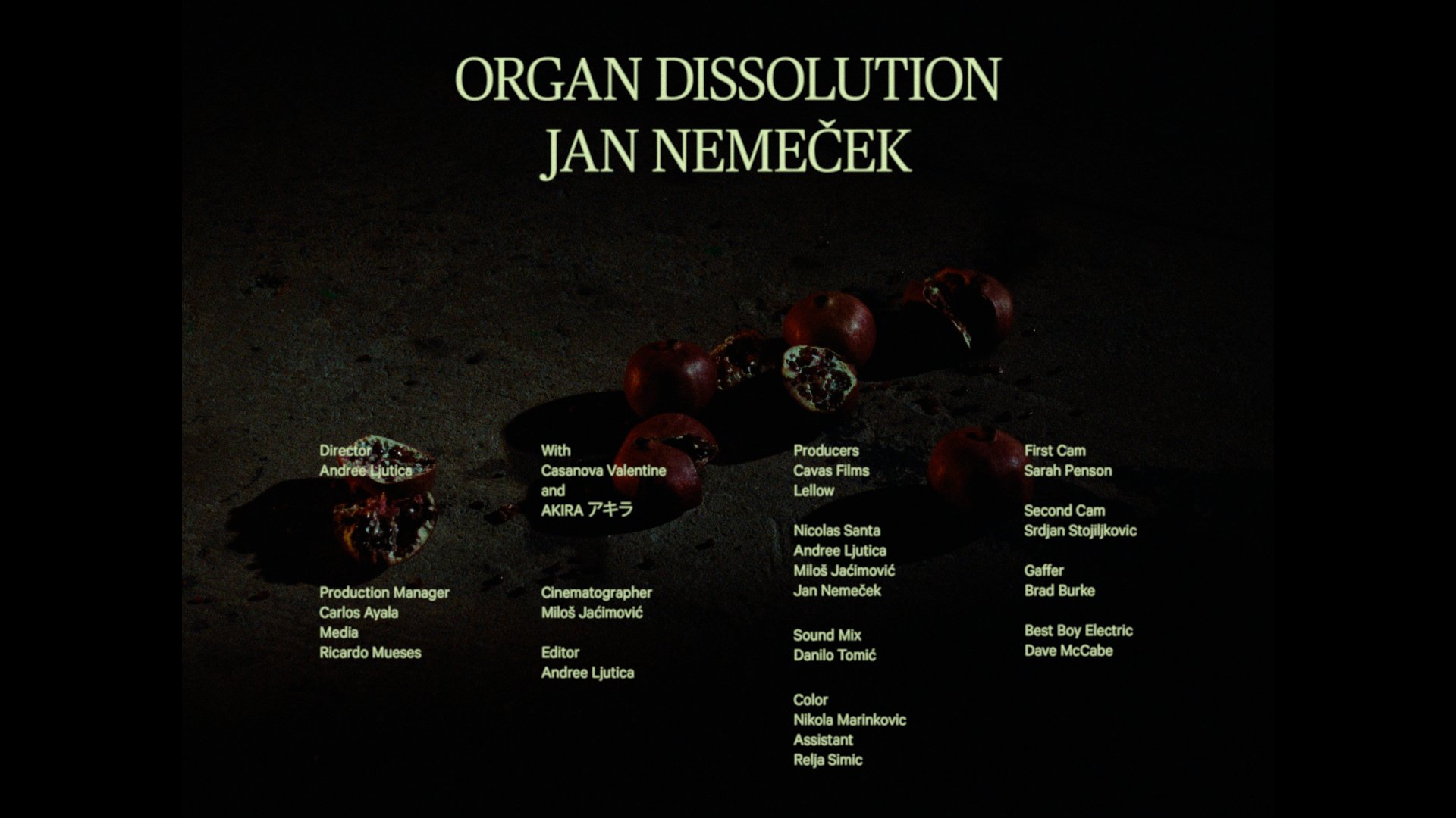 STILL 013.jpg