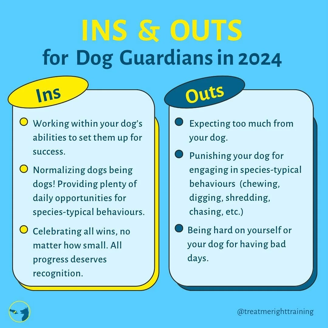 Happy New Year! In 2024, let&rsquo;s foster positive relationships with our pets. Here are some things to bring in and toss out this year: 

Ins
- Working within your dog&rsquo;s abilities to set them up for success.
- Normalizing dogs being dogs! Pr
