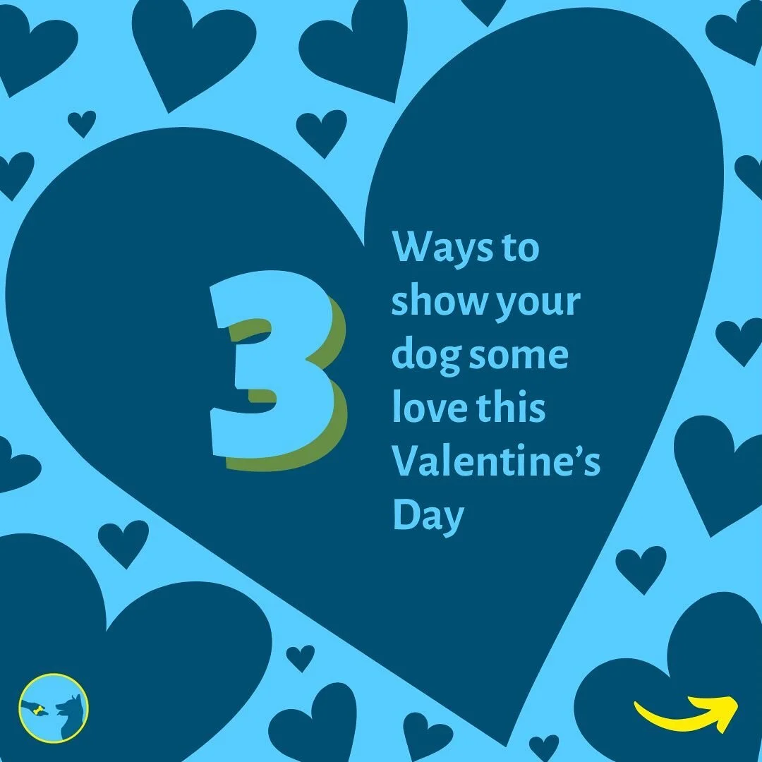 Happy Valentine&rsquo;s Day 🩵🐶

Show your dog some love this Valentine&rsquo;s Day. Here are 3 things you can do to show your love. 

1. Let them be a dog! 
Create safe opportunities for engaging in species-typical behaviours like foraging, chewing