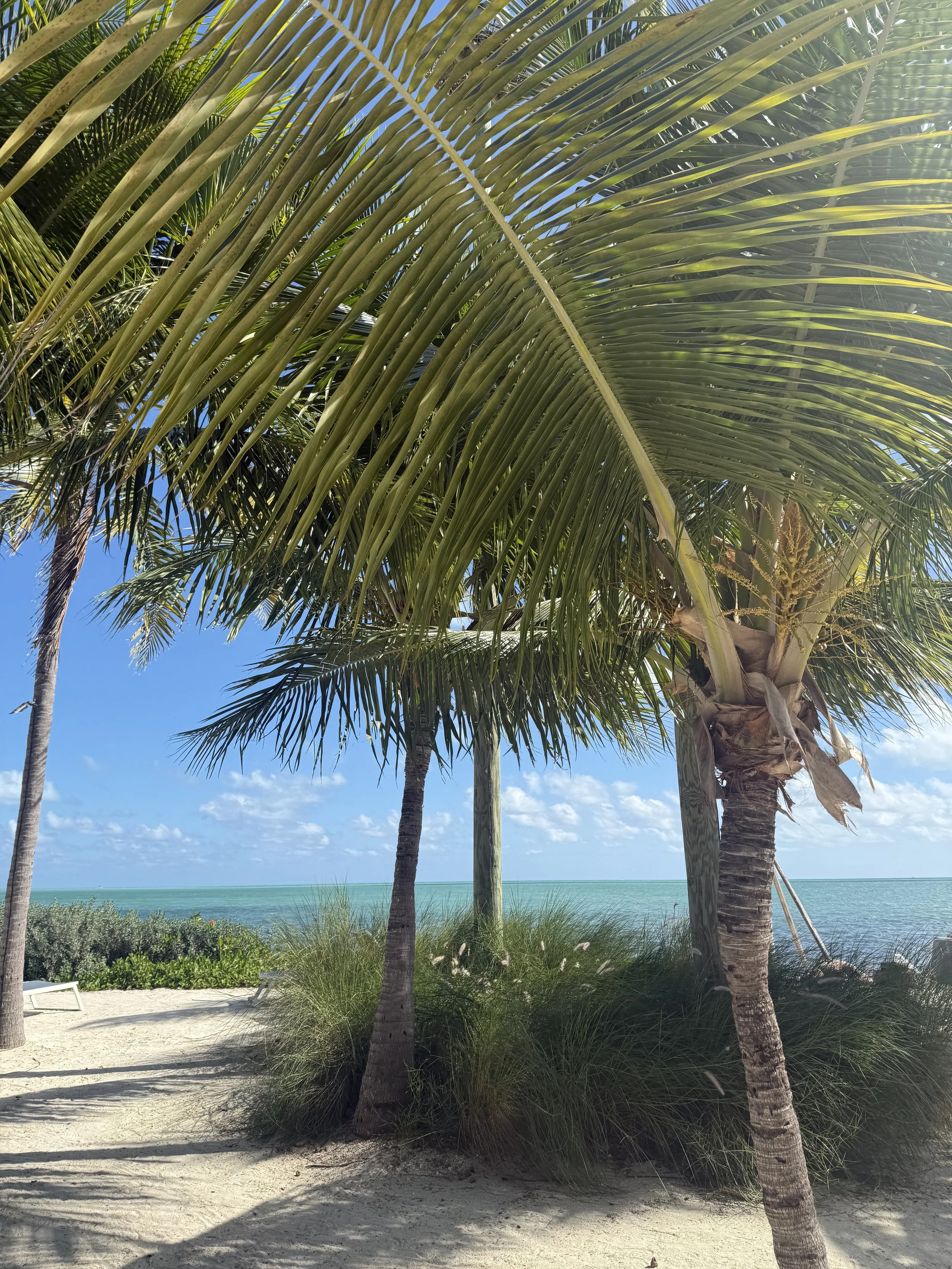 islamorada, florida keys