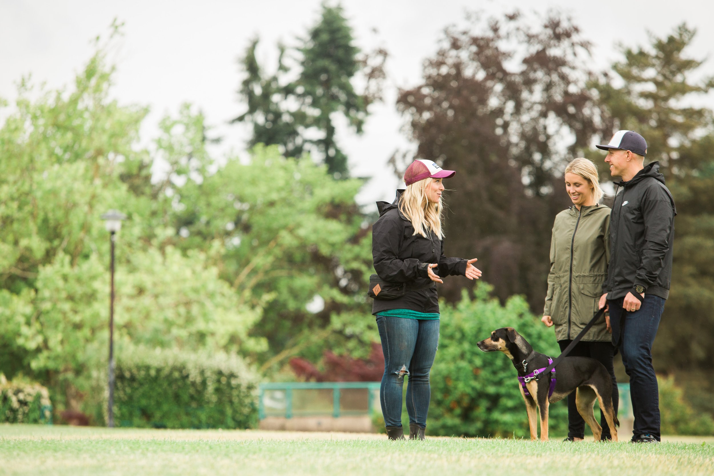 One-On-One Training - In Person Canine Connection Training