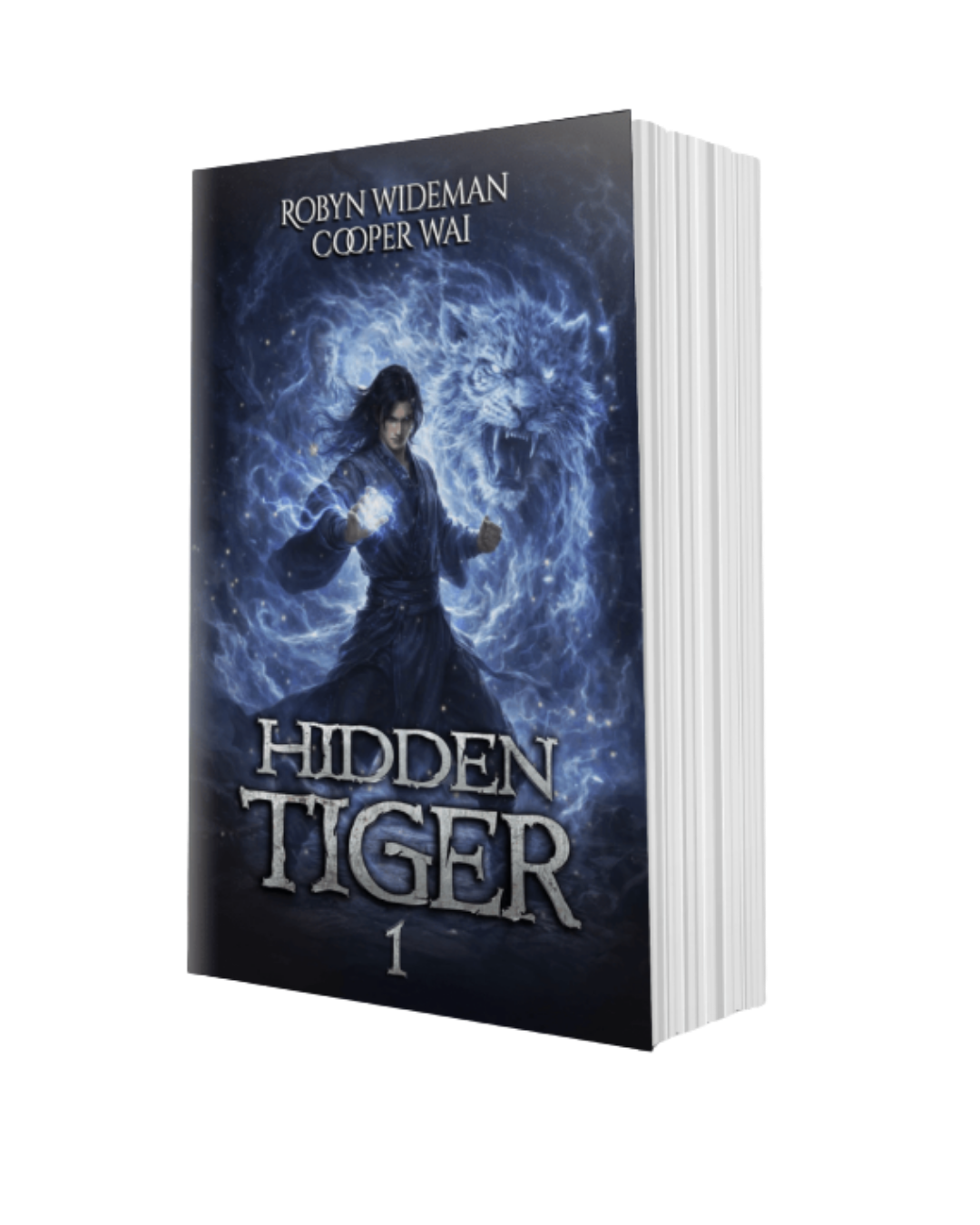 Hidden Tiger Book 1