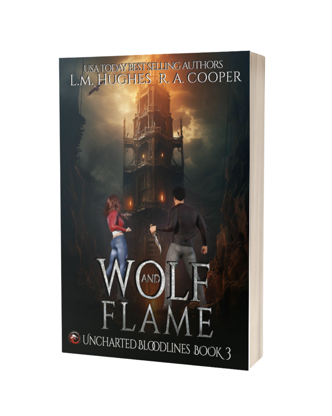 WF3 paperback.png