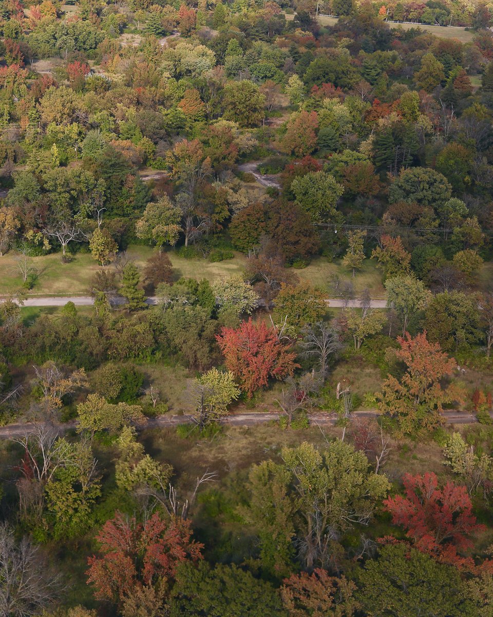 Landscape photograph from the ZPG Various Places archive