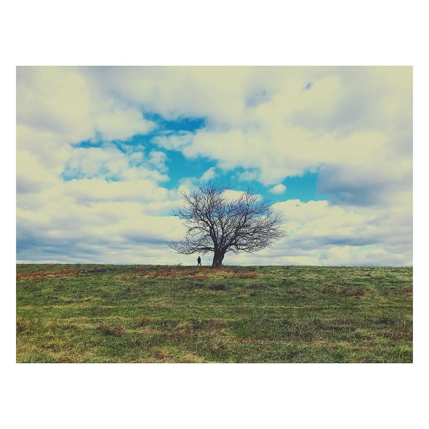 The Snow has melted for now&hellip;

#getoutside
#greengrass
#oldtree
#bestfriend