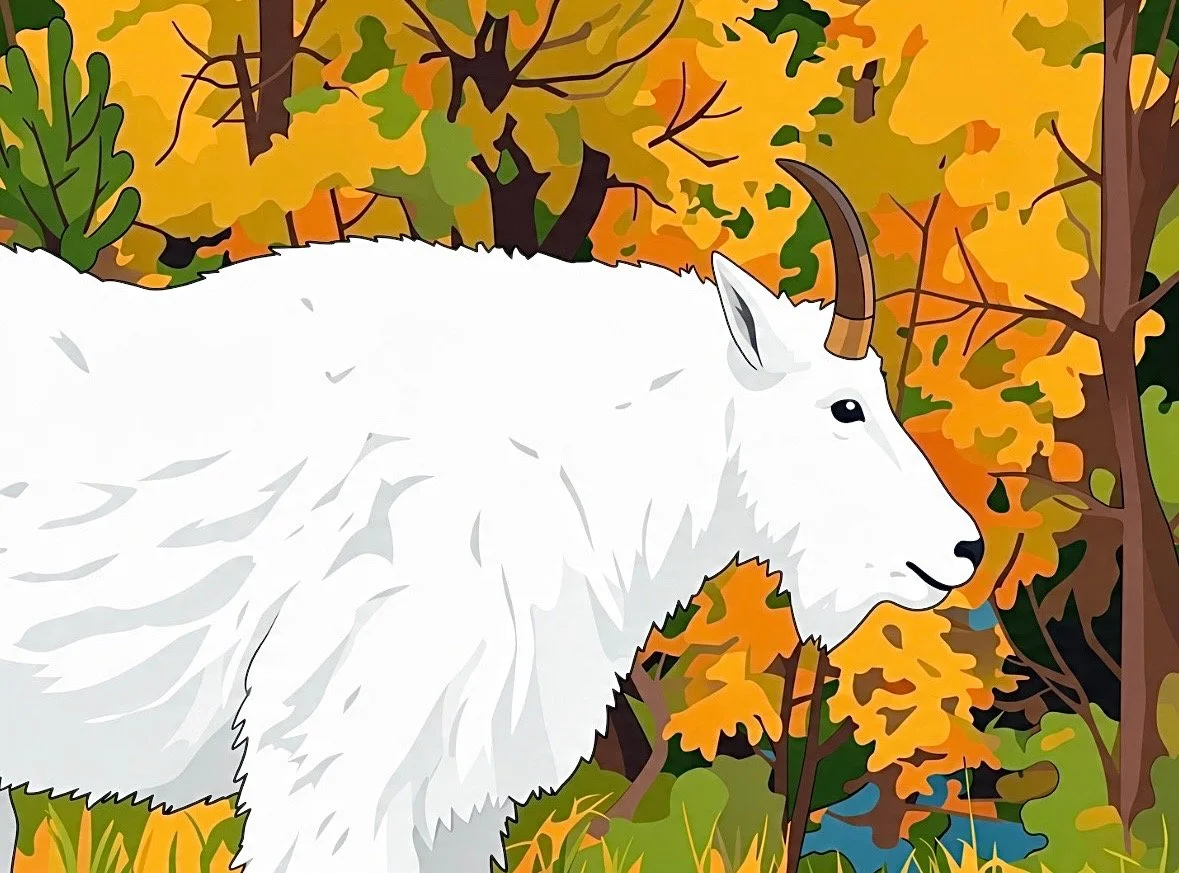 CCO-Rocky-Mountain-Goat-Illustrated.jpeg