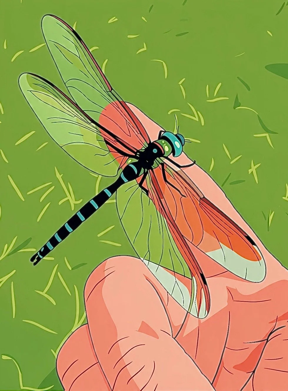 CCO-Dragon-Fly-Illustrated.jpeg