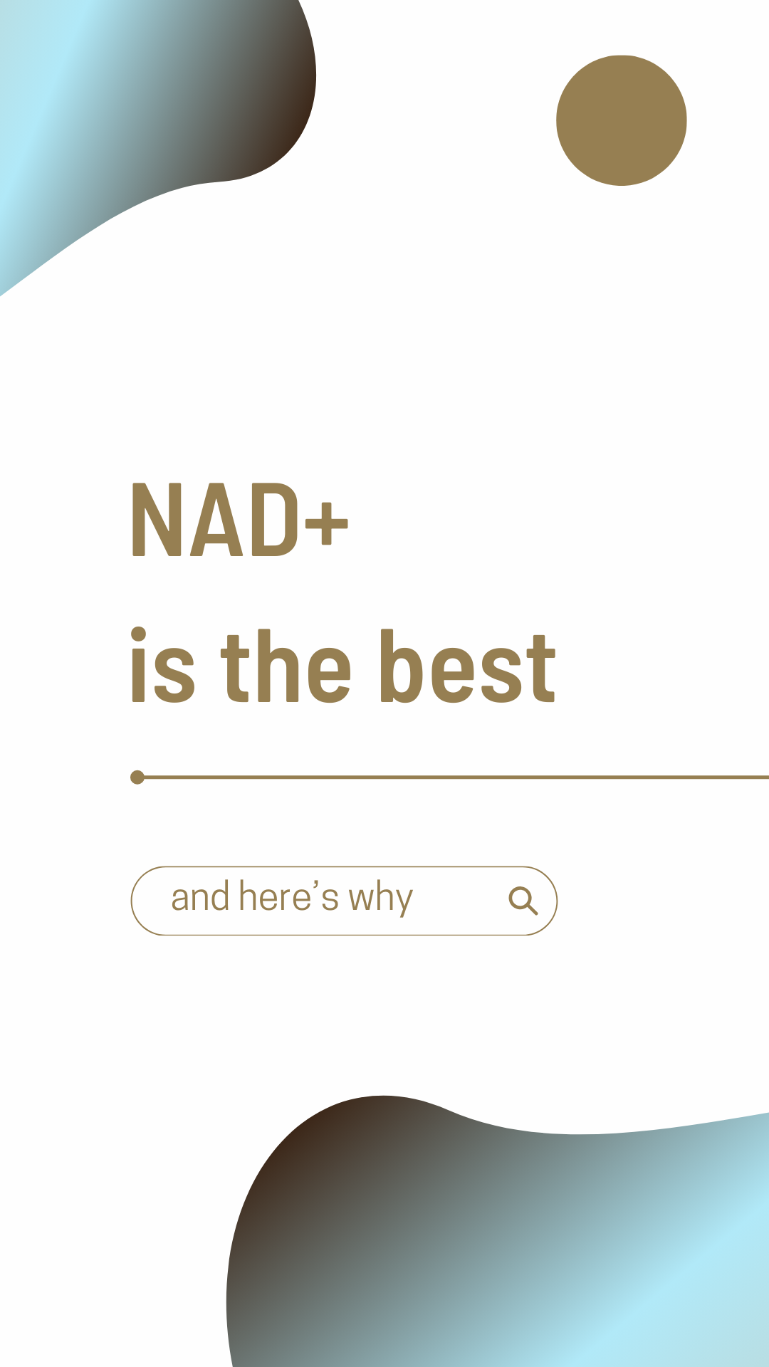 NAD+ - REEL.png