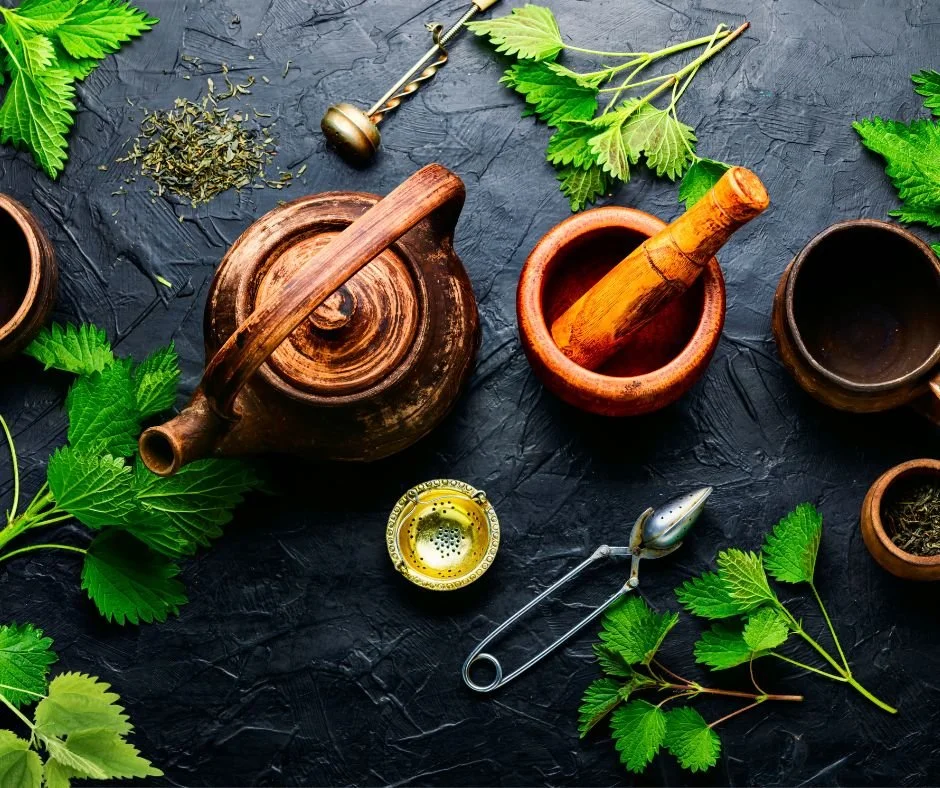 Nettle: The First Medicine of Spring