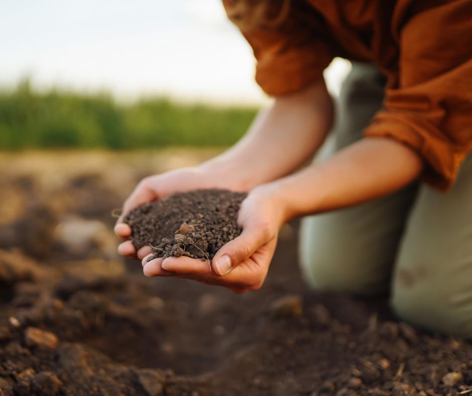 The Soil Remembers What the Soul Longs For