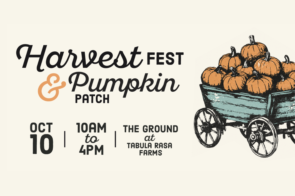 Harvest Fest (&amp; Pumpkin Patch)
