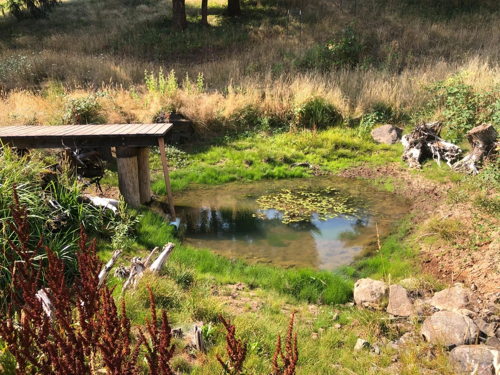 Water-Retention Permaculture Basics